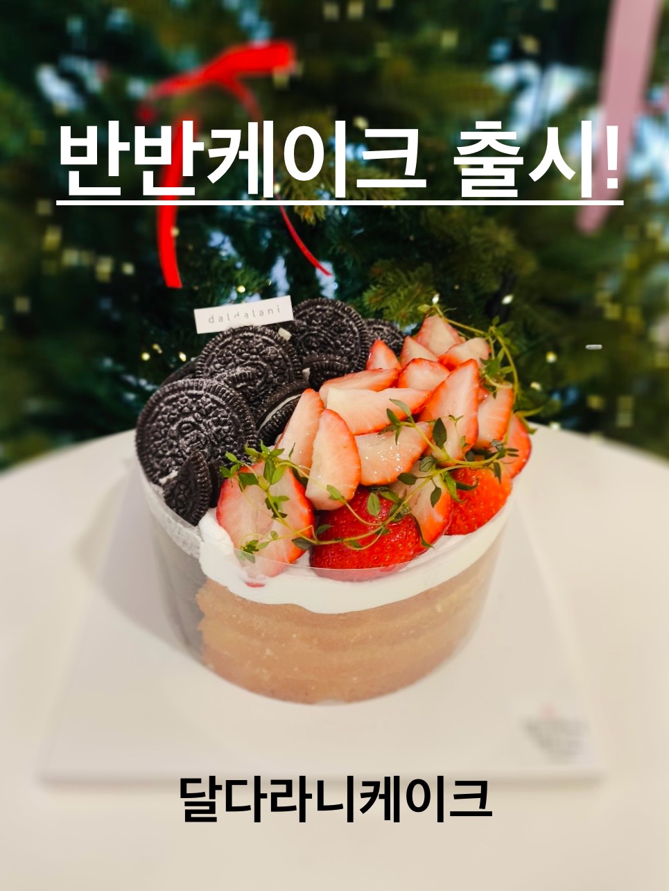 달다라니 CAKE
