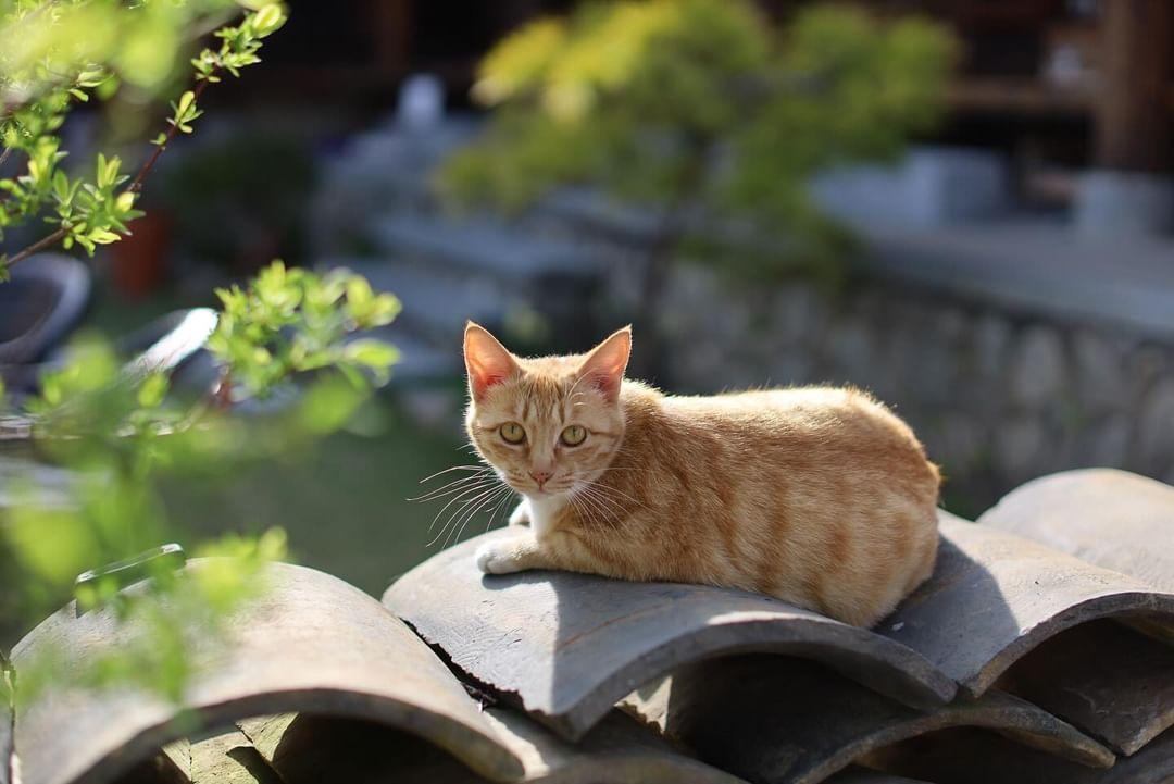 밀당책방
