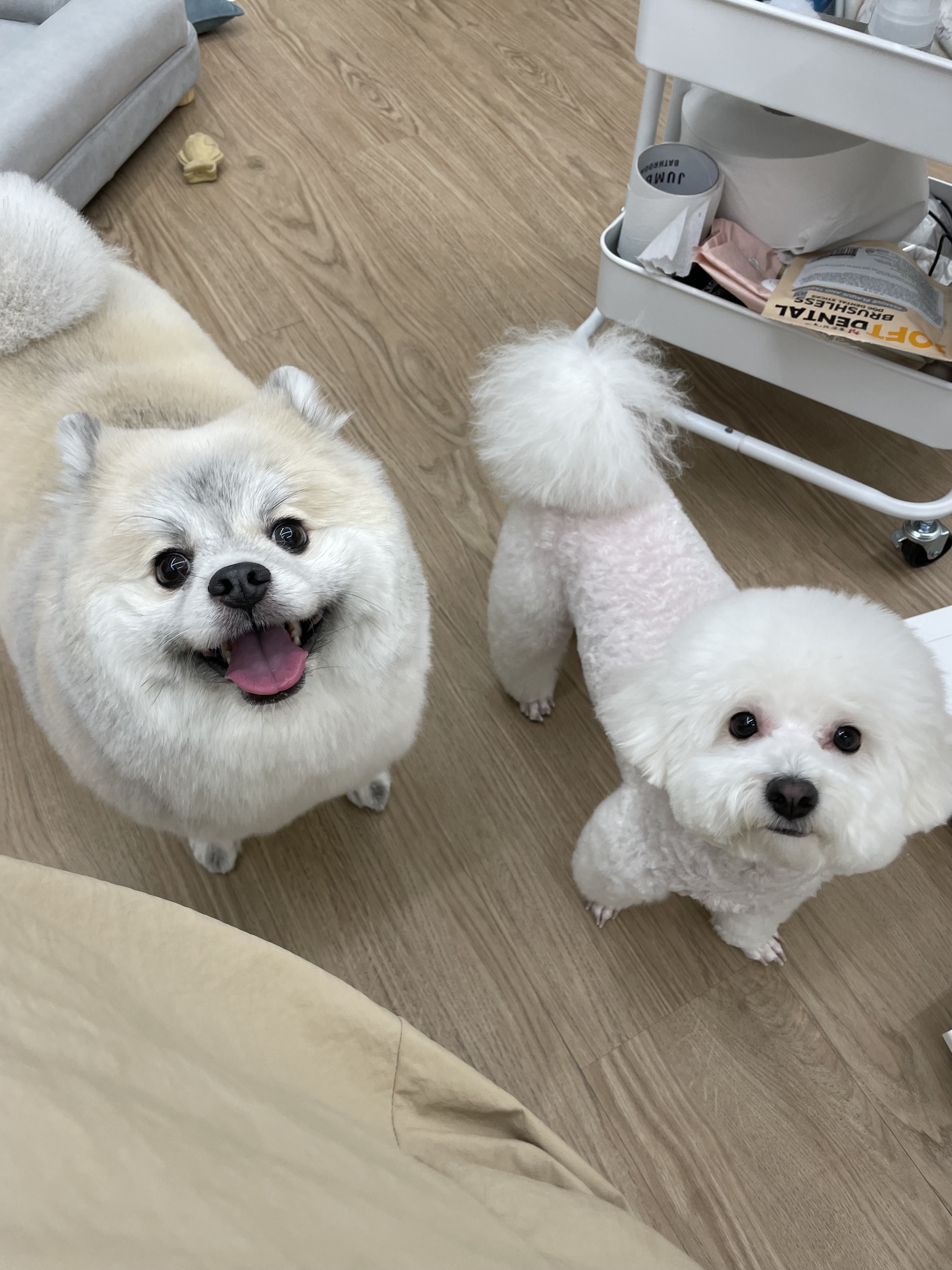 두리멍실