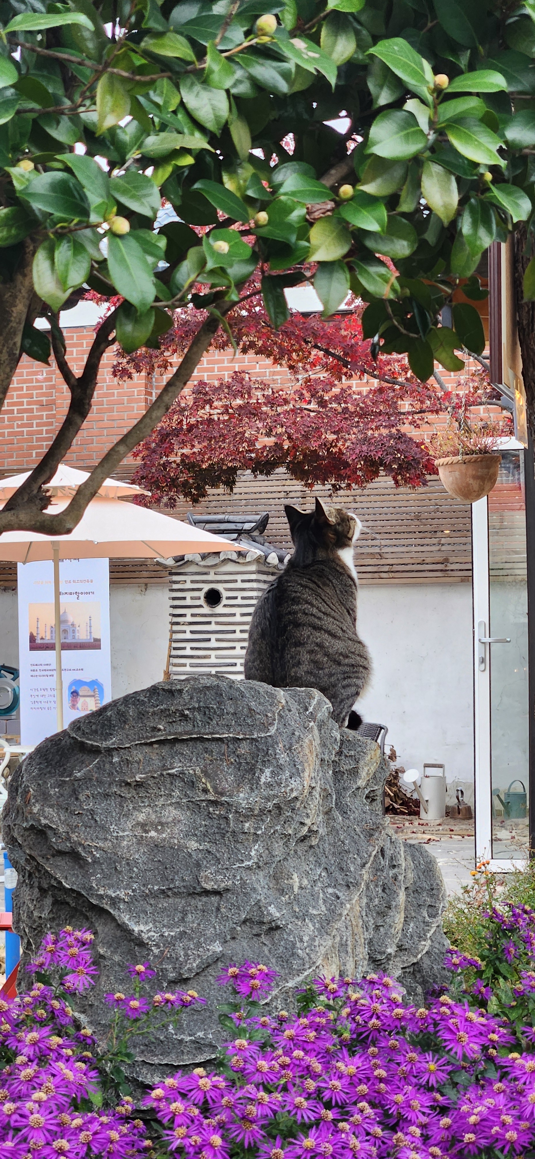 밀당책방