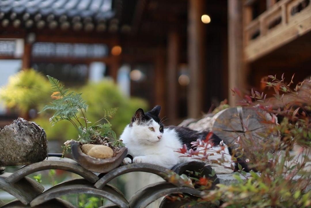 밀당책방