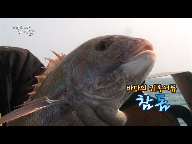 타츠