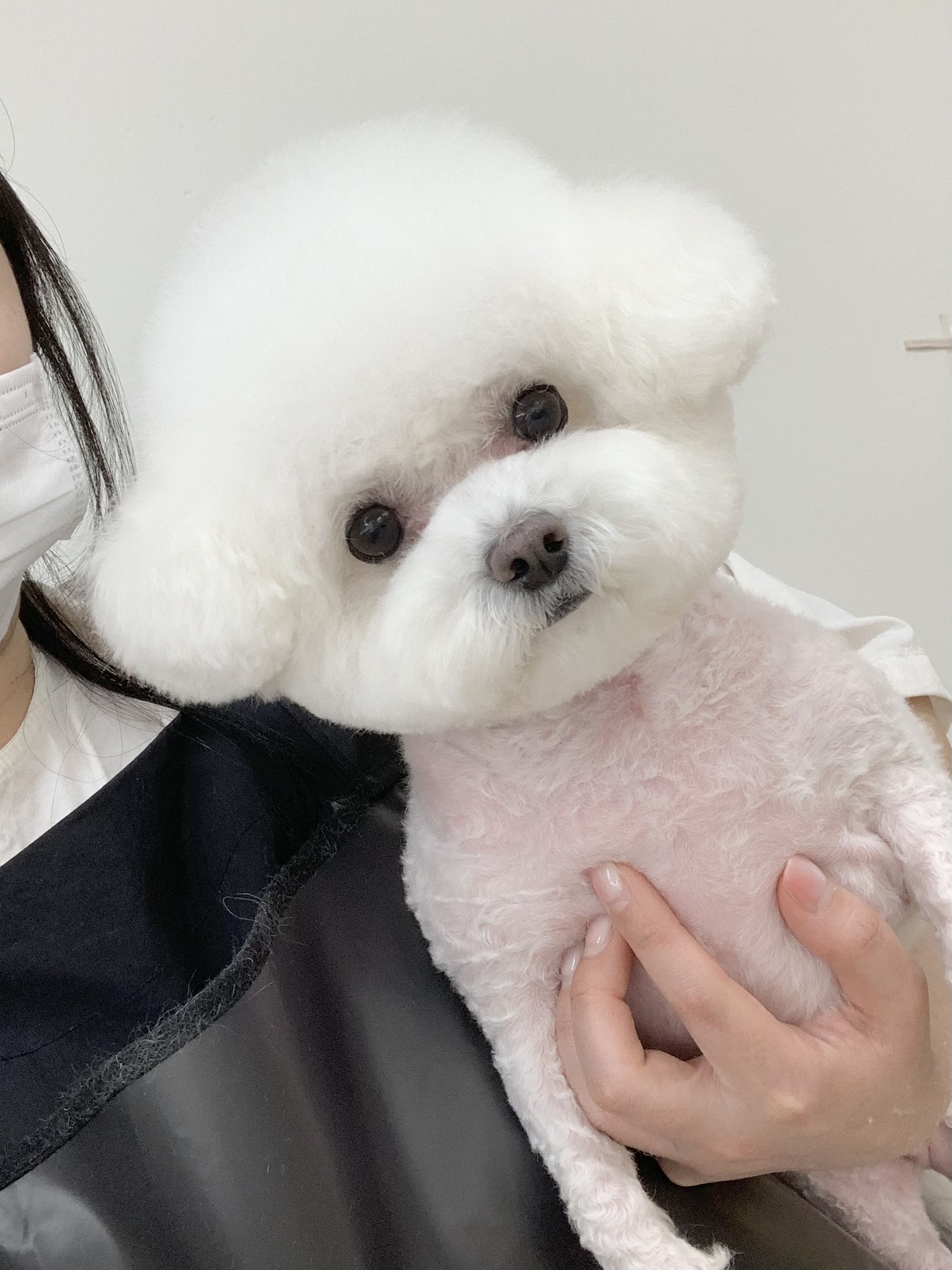 러버몽 대표 이미지