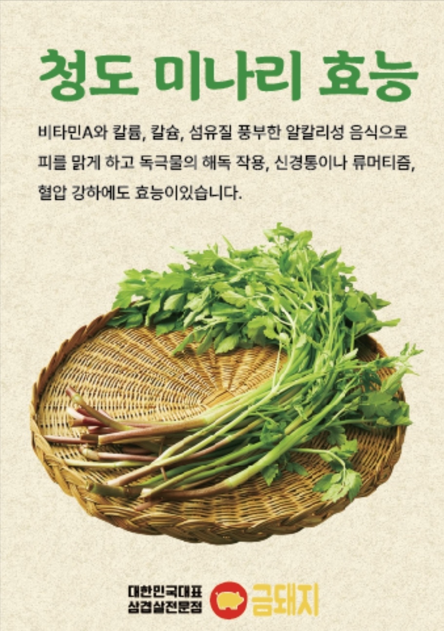 금돼지