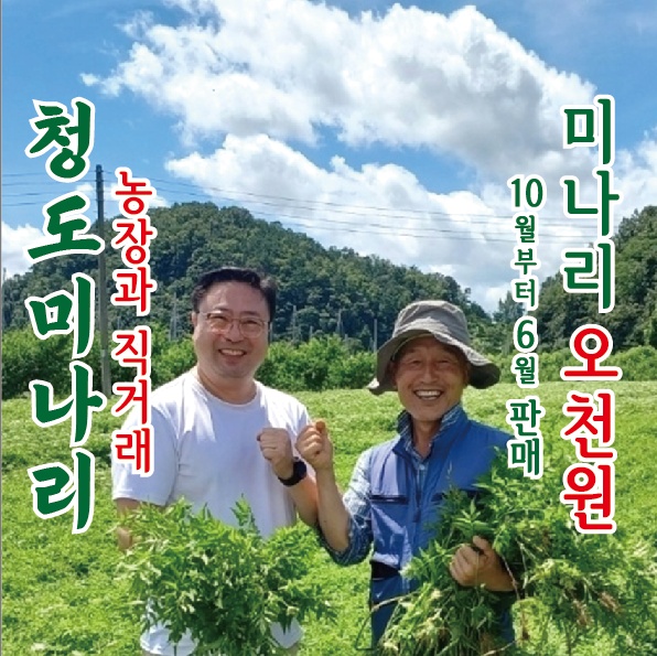 금돼지