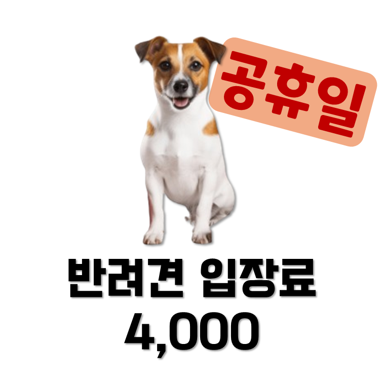 멍프탑 반려동물 동반 애견카페