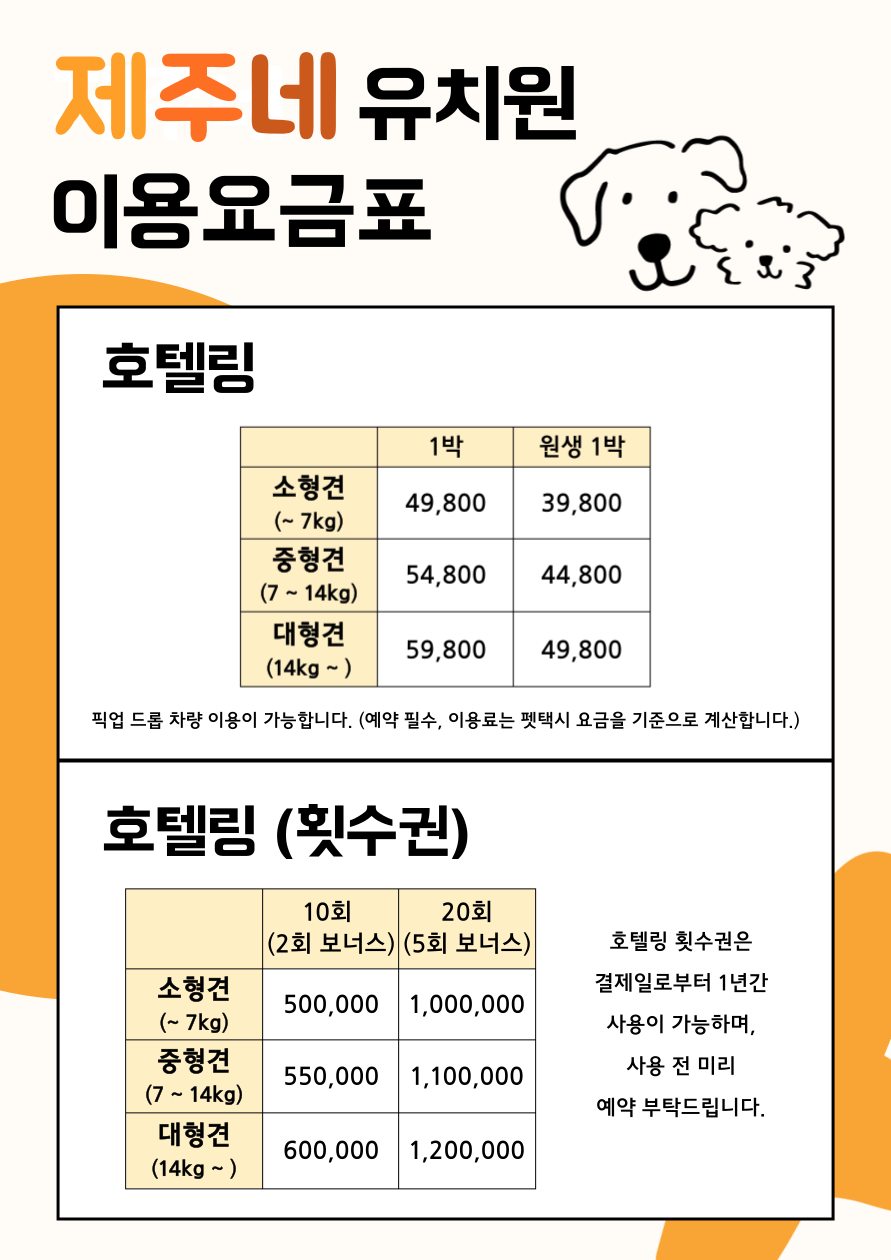 제주네 대표 이미지 (루프탑 놀이터)