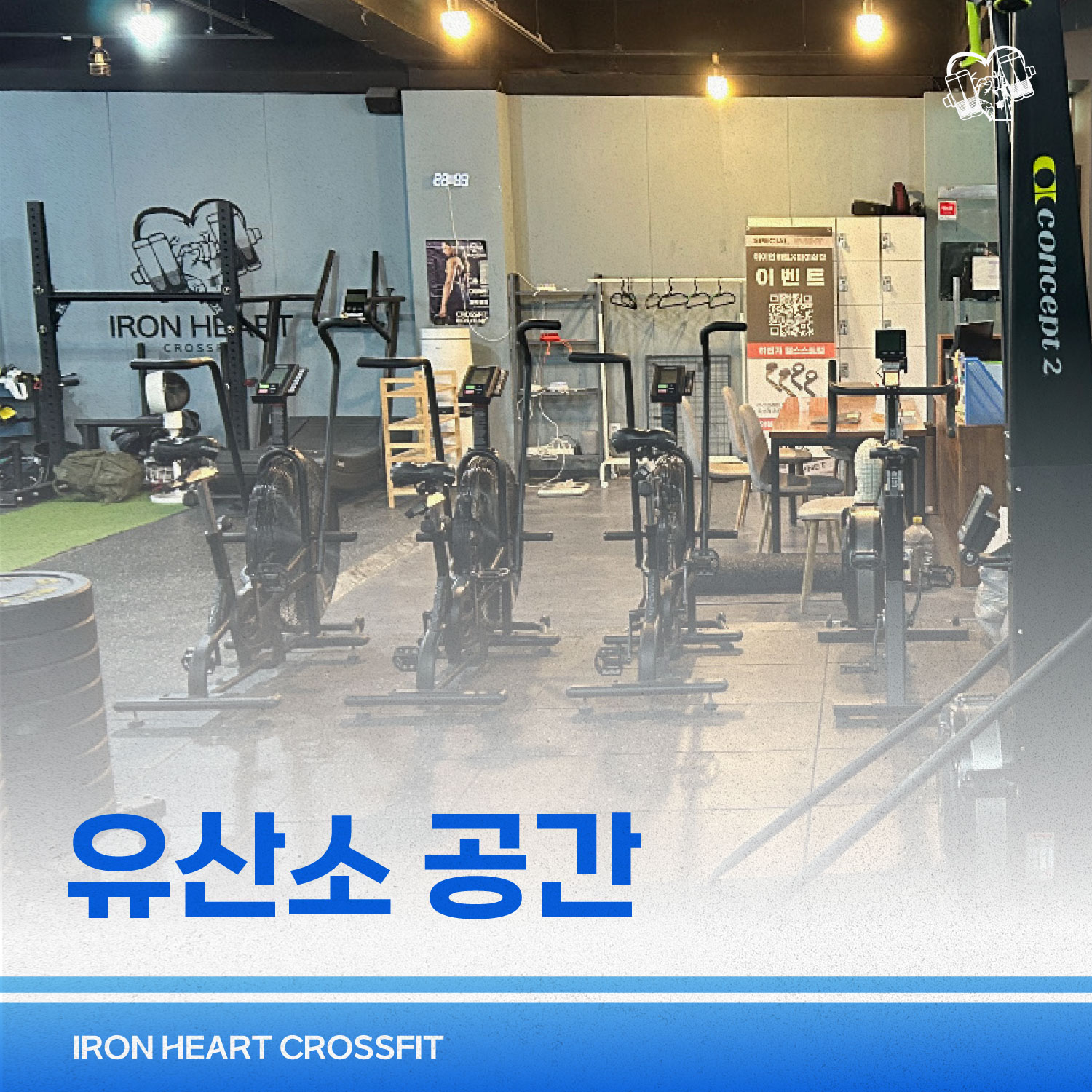 크로스핏 아이언하트 내부 또는 관련 모습