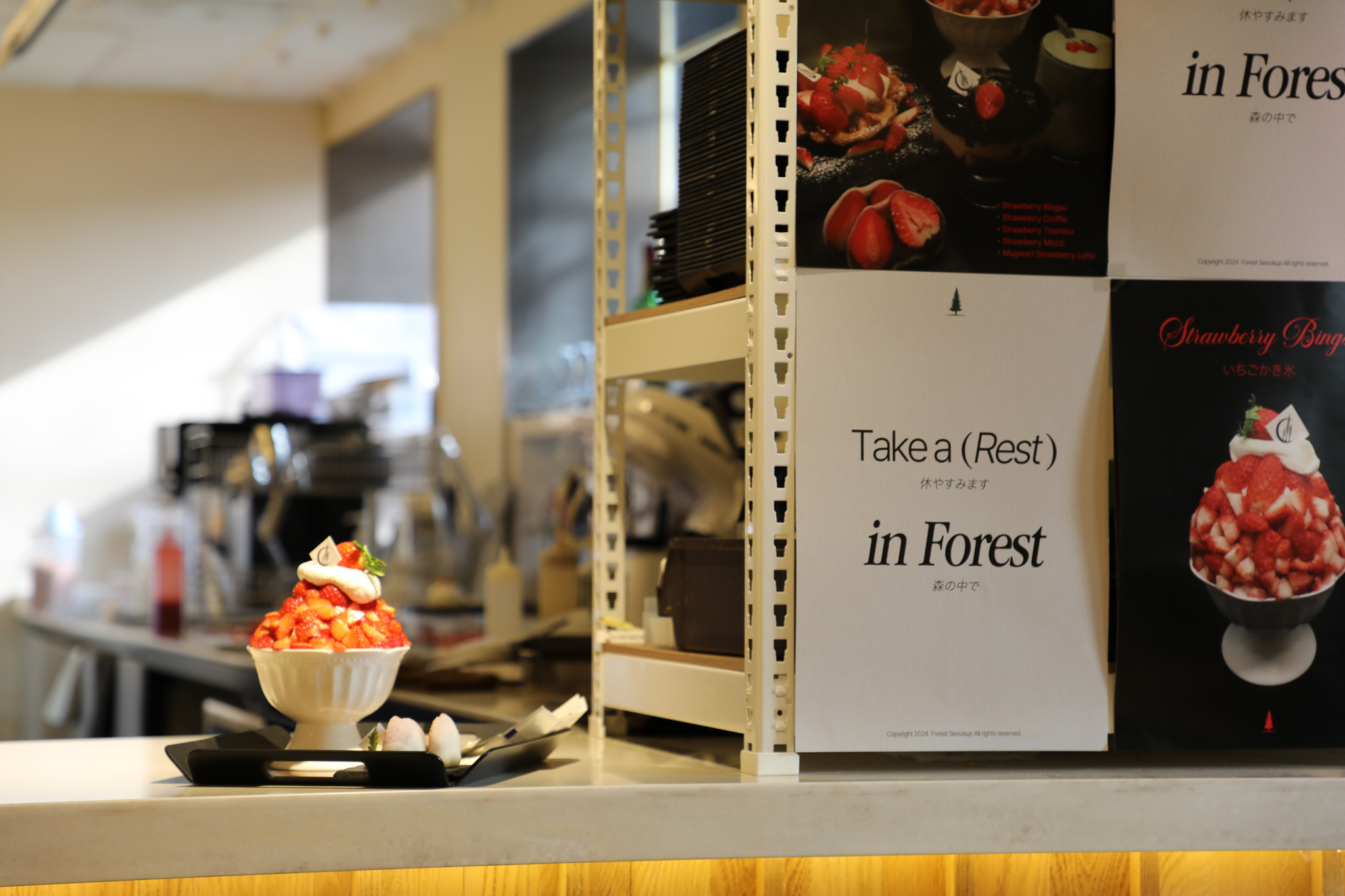 포레스트 서울숲 대표 이미지