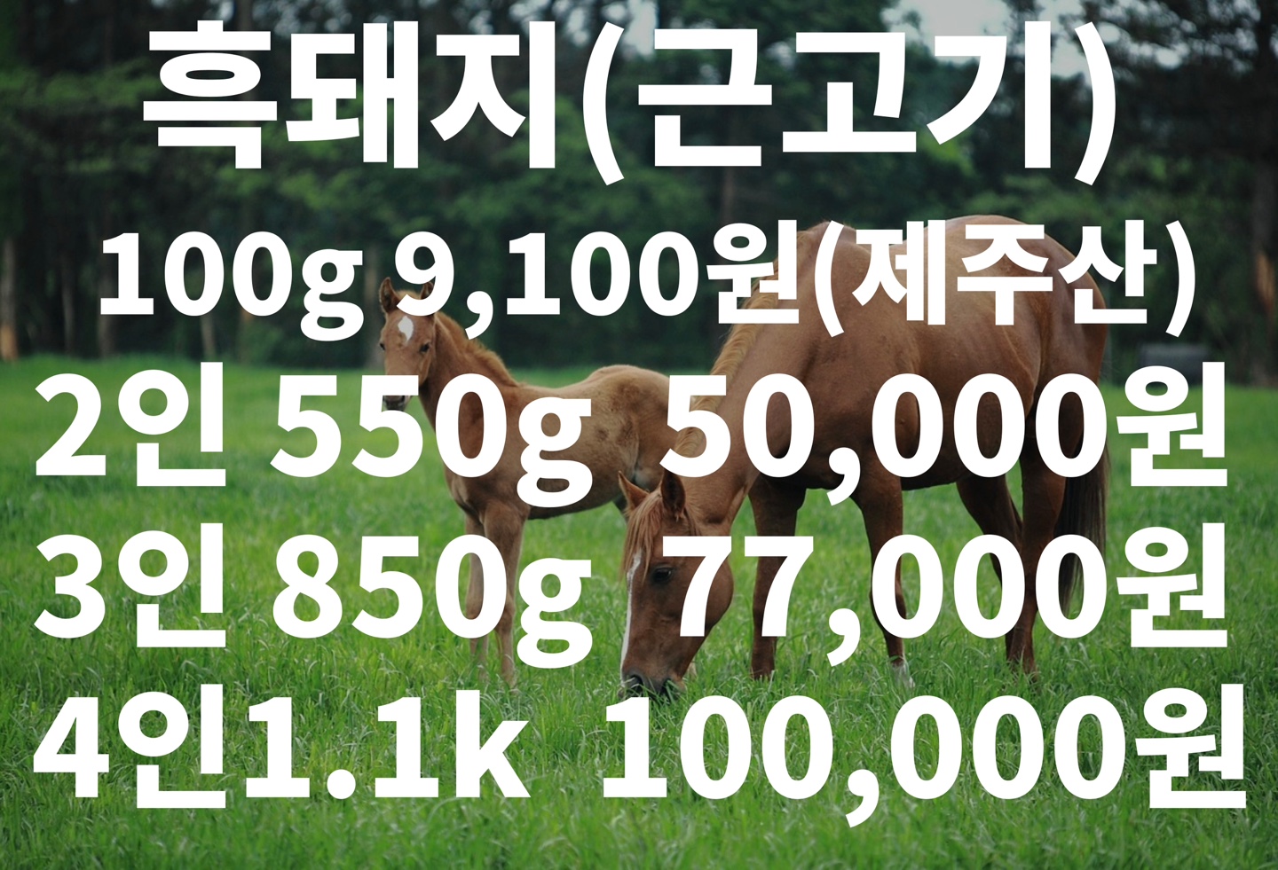 난드르흑돼지