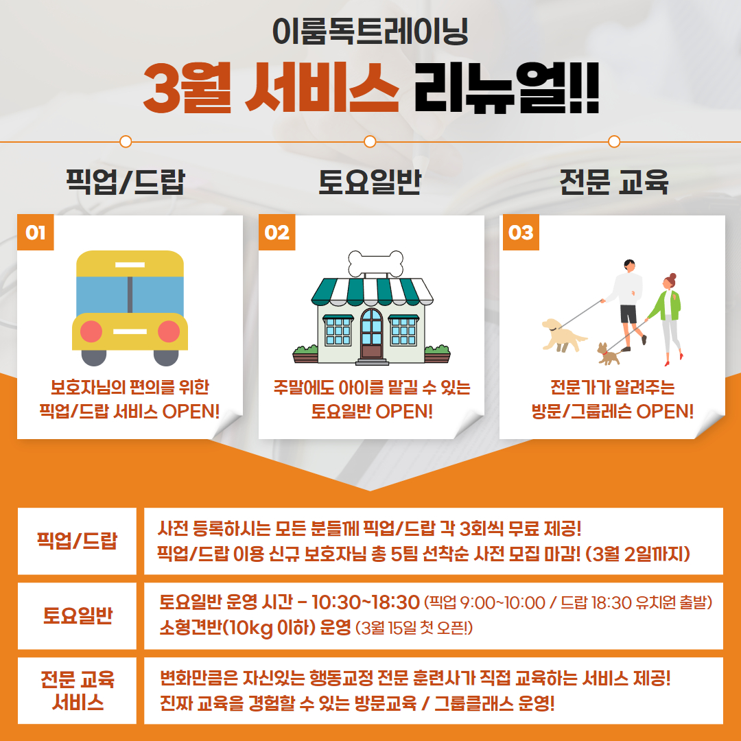 이룸독트레이닝&애견유치원 대표 이미지