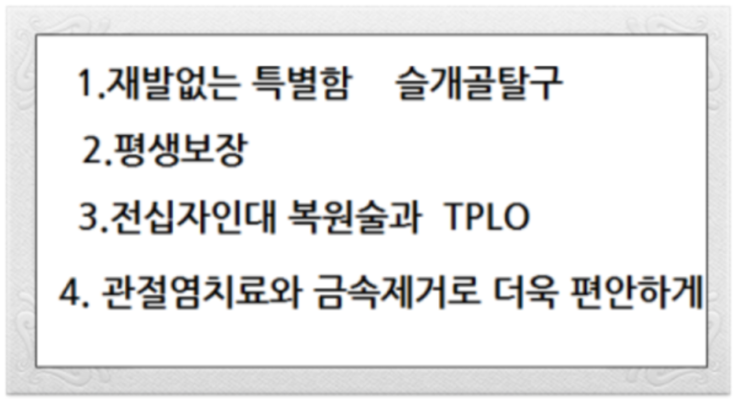 AVC동물메디컬센터 내부 또는 관련 모습