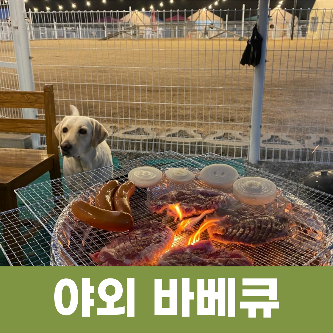 멍글멍글 펫 글램핑