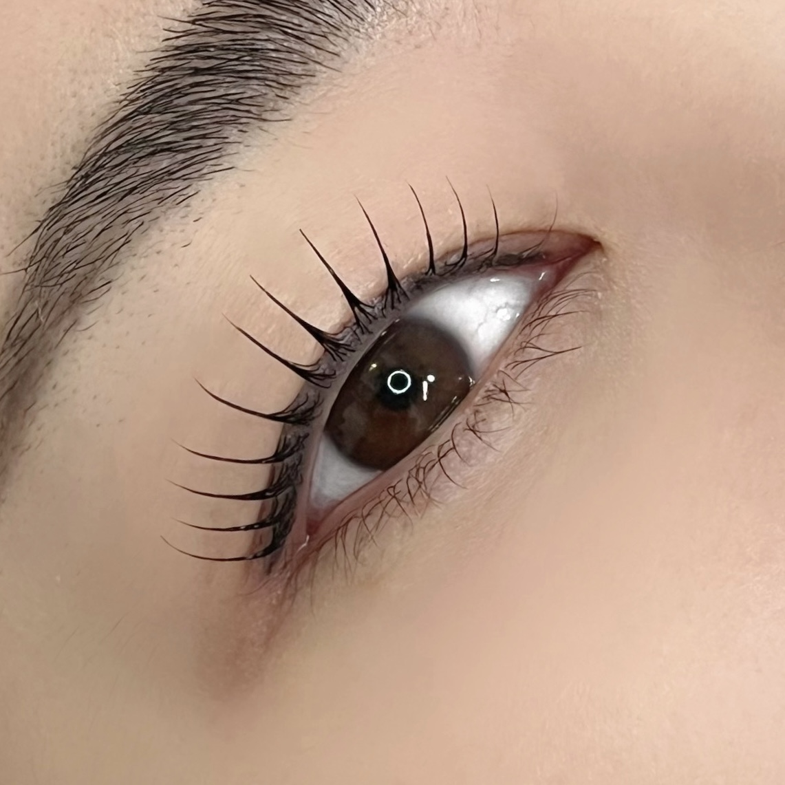 소이브로우 대표 이미지