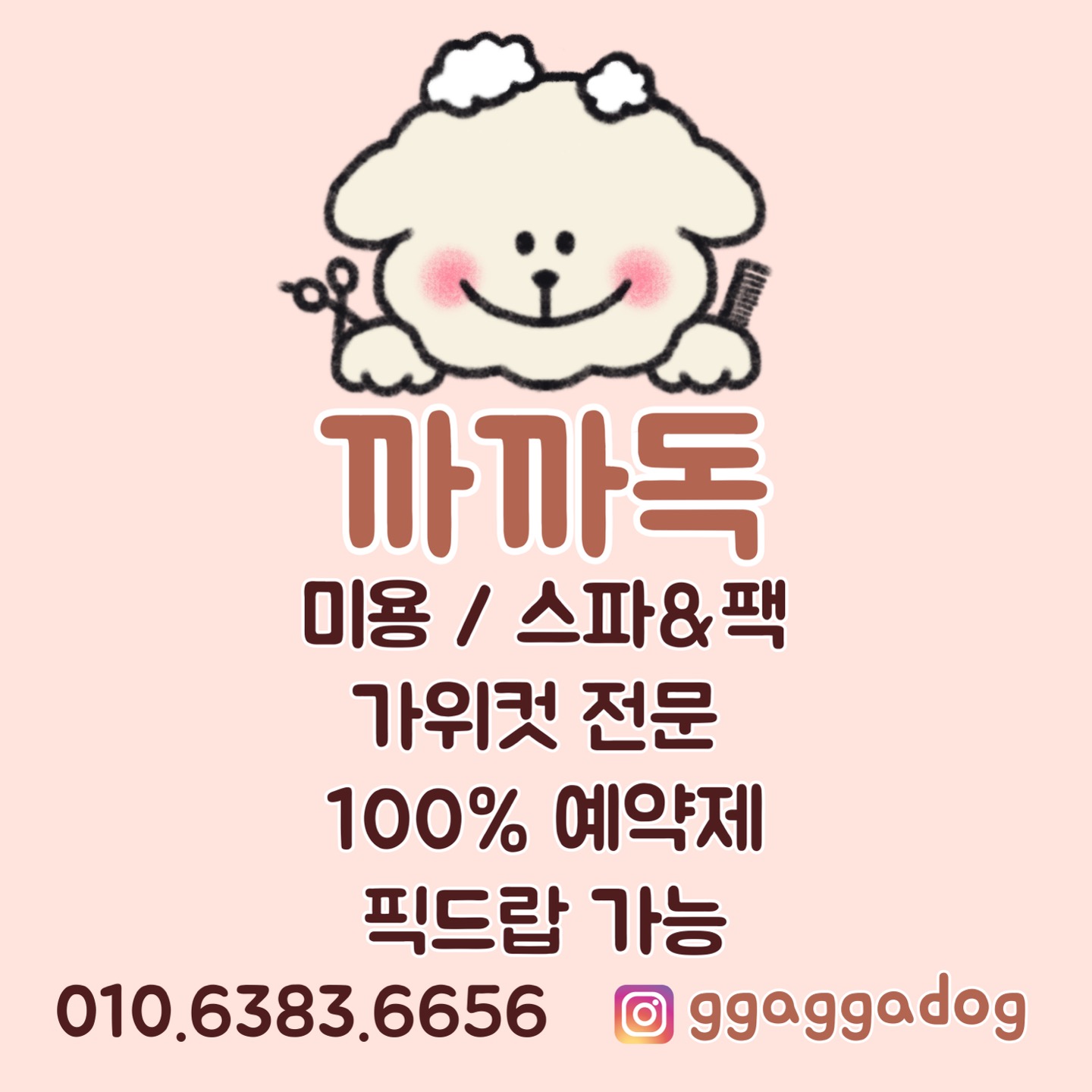 까까독아산애견미용아산애견호텔