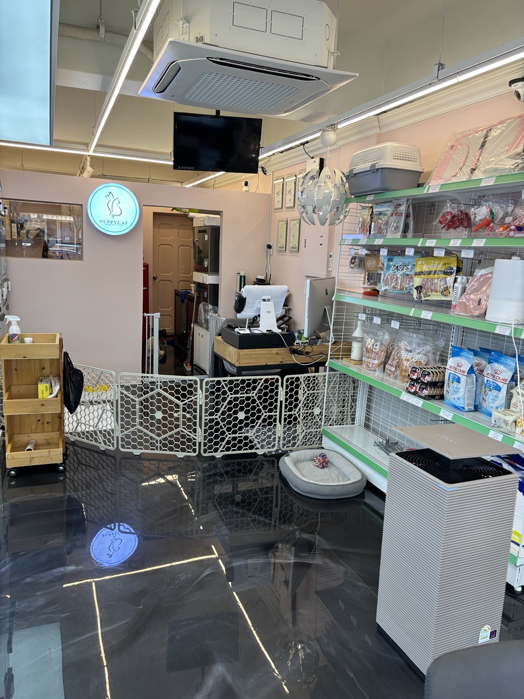 퍼피캣 대표 이미지