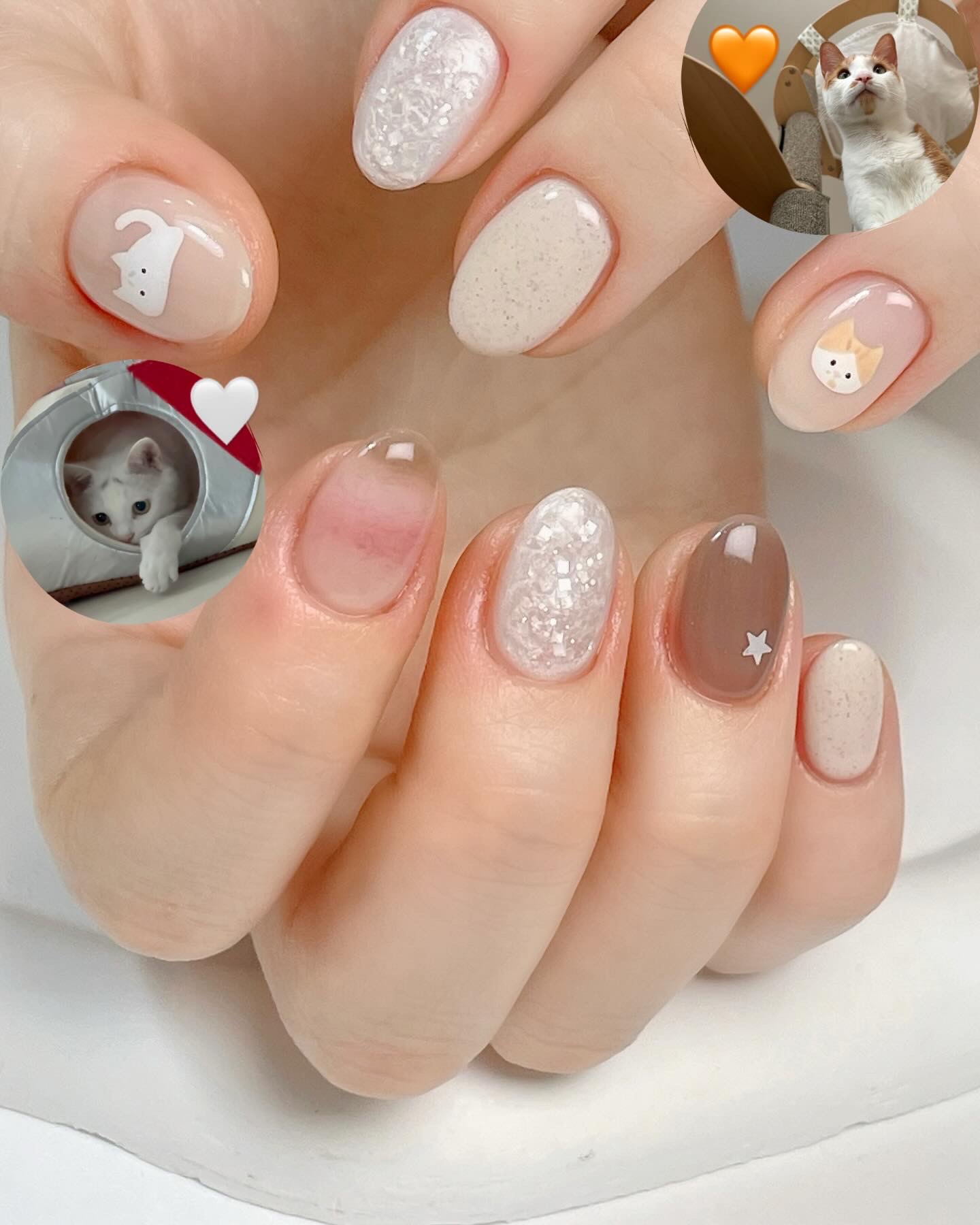 마이쿠미