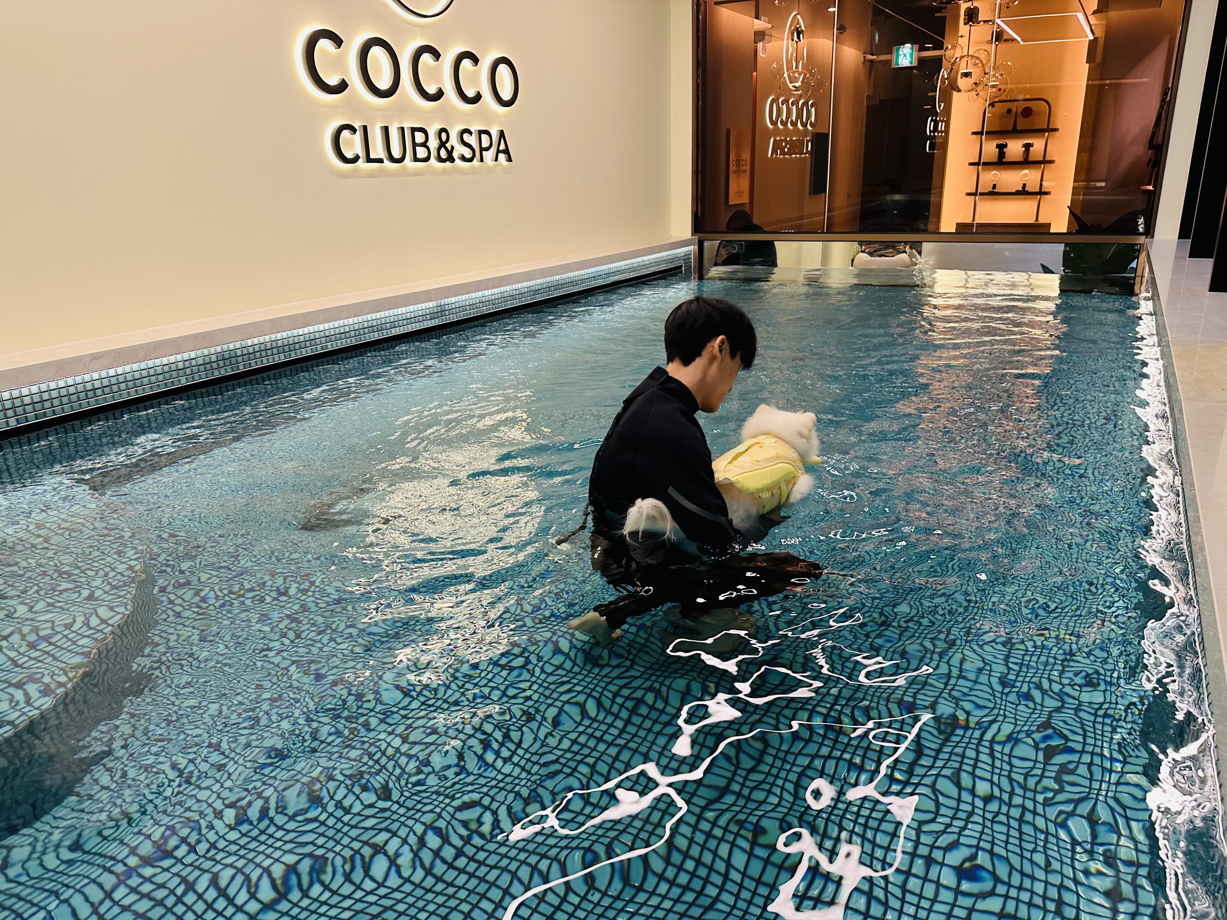 코코스퀘어 강아지유치원 대표 이미지