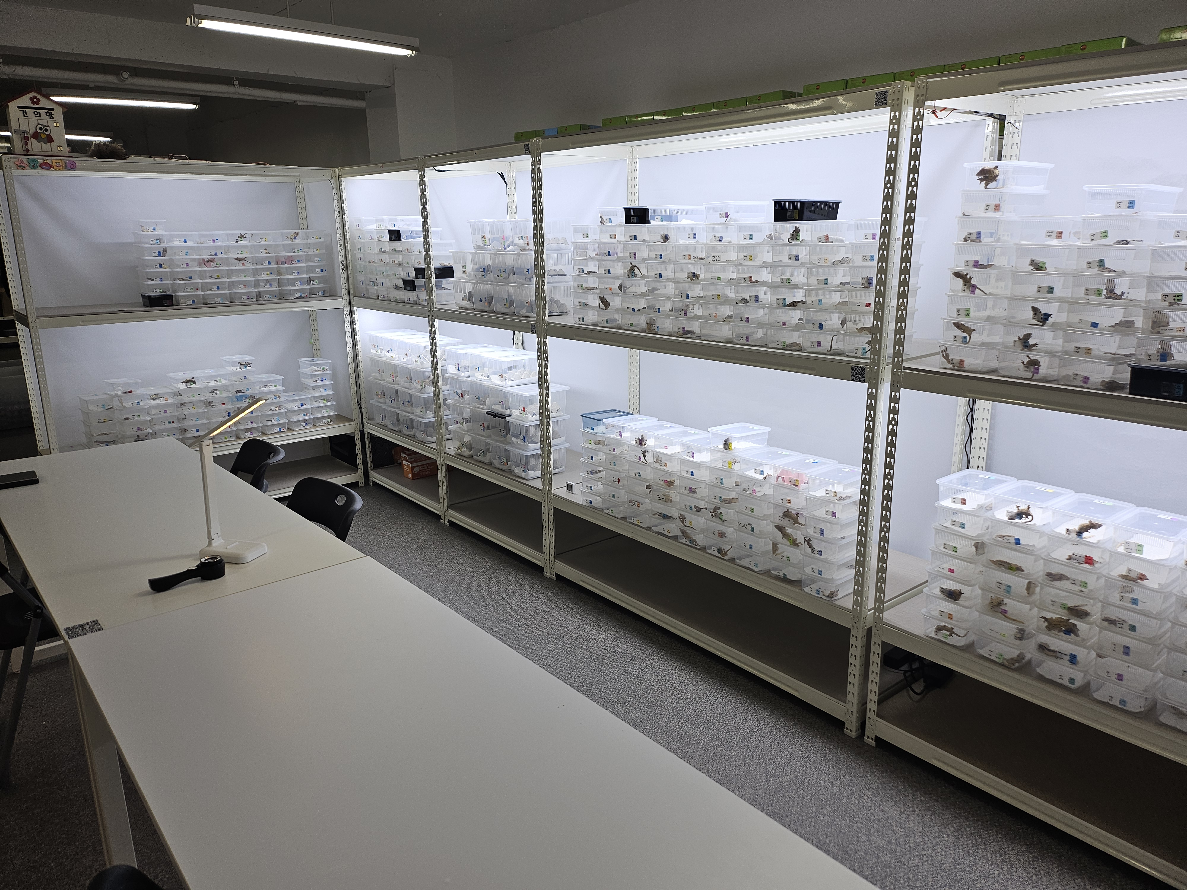 파충류샵 다이노마켓 대표 이미지