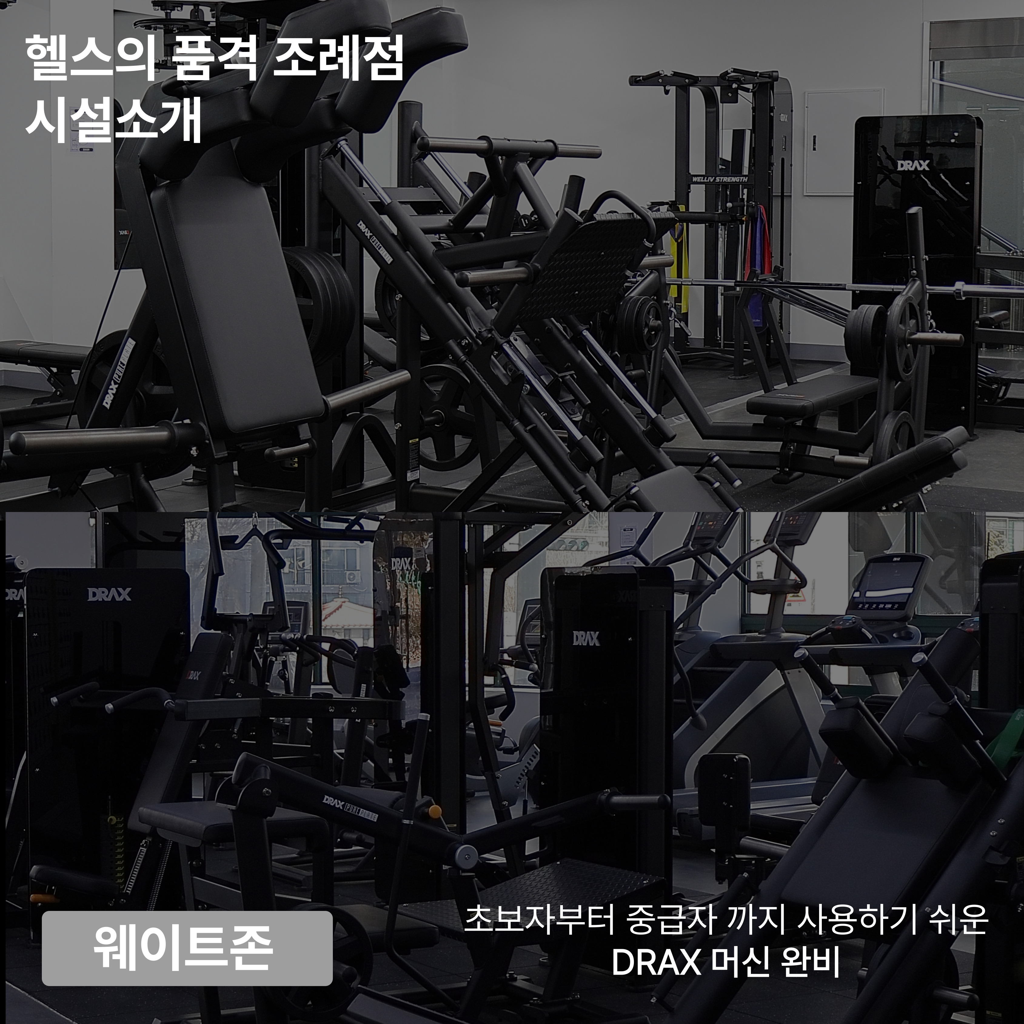 헬스의 품격