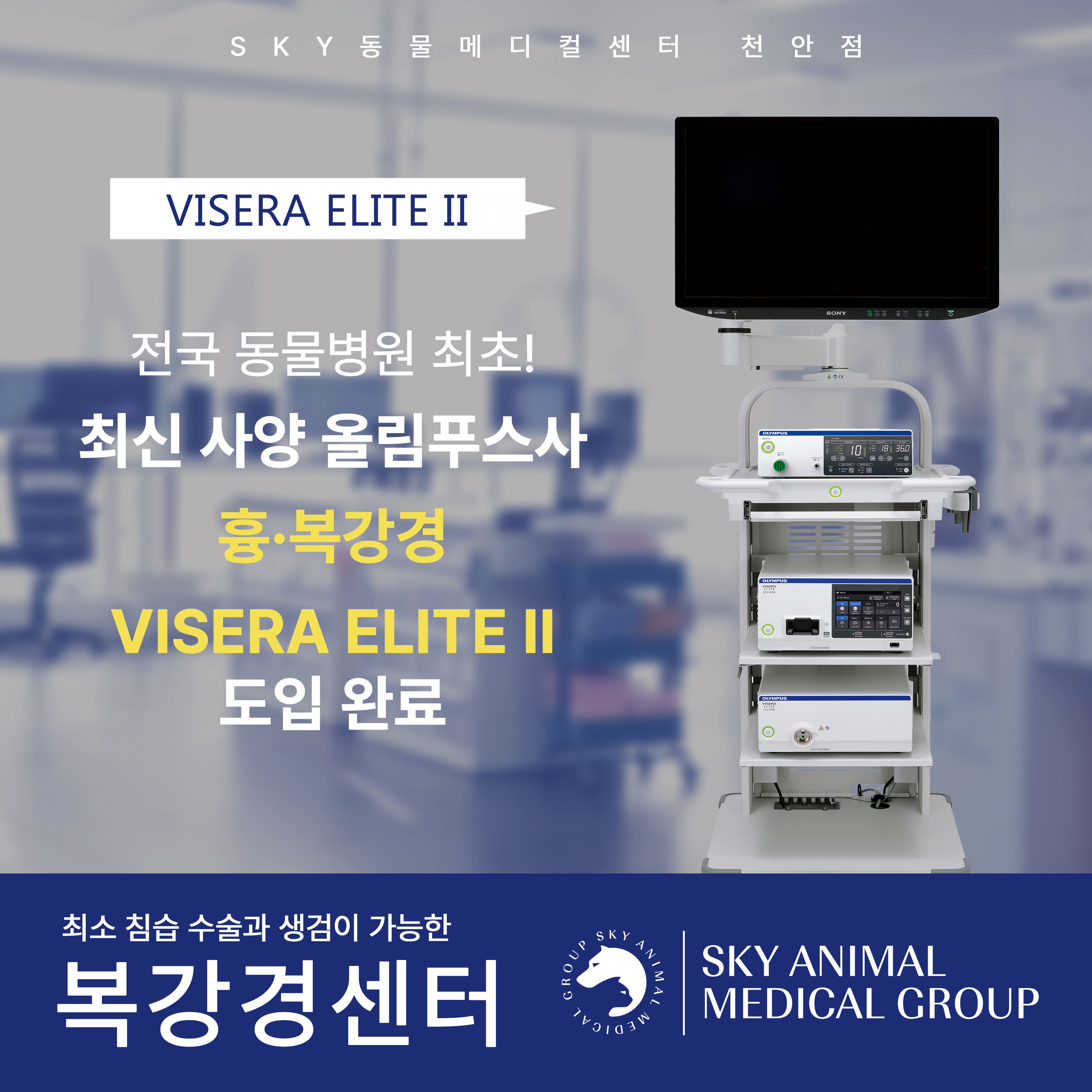 천안24시스카이동물메디컬센터 내부 또는 관련 모습