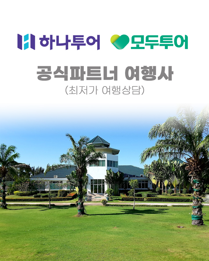 레드망고여행사