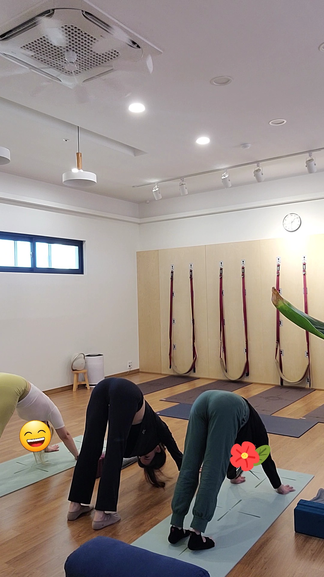 아원다옴메디월요가 대표 이미지