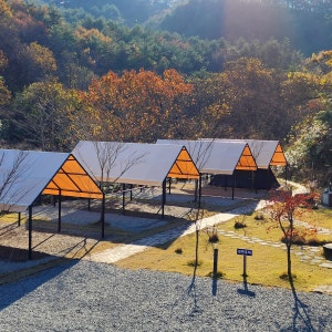 양양 포레스트캠핑장