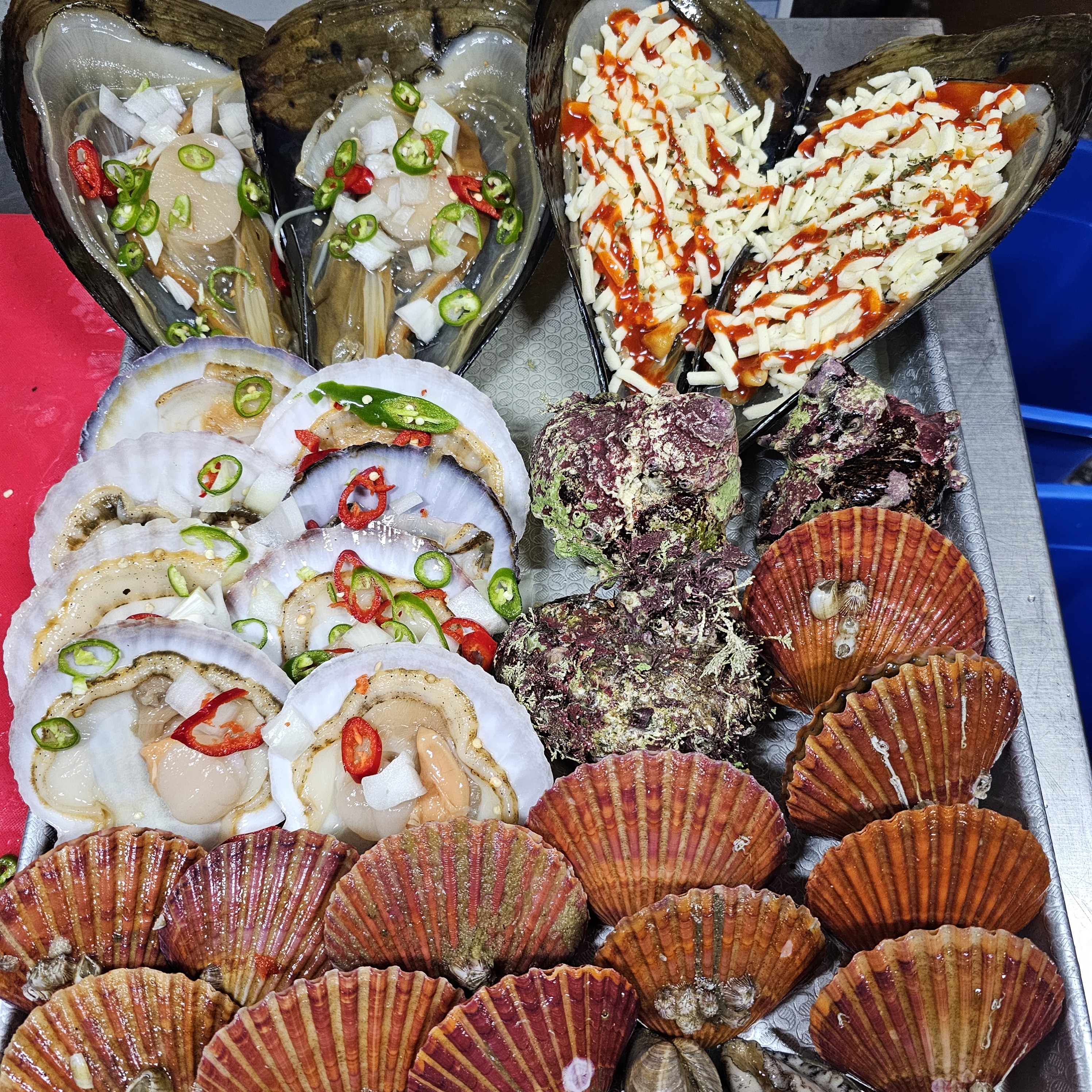 항꾸네조개구이 4