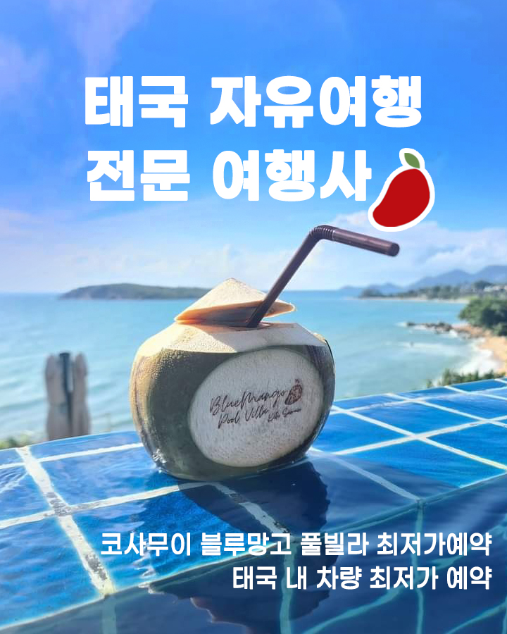 레드망고여행사