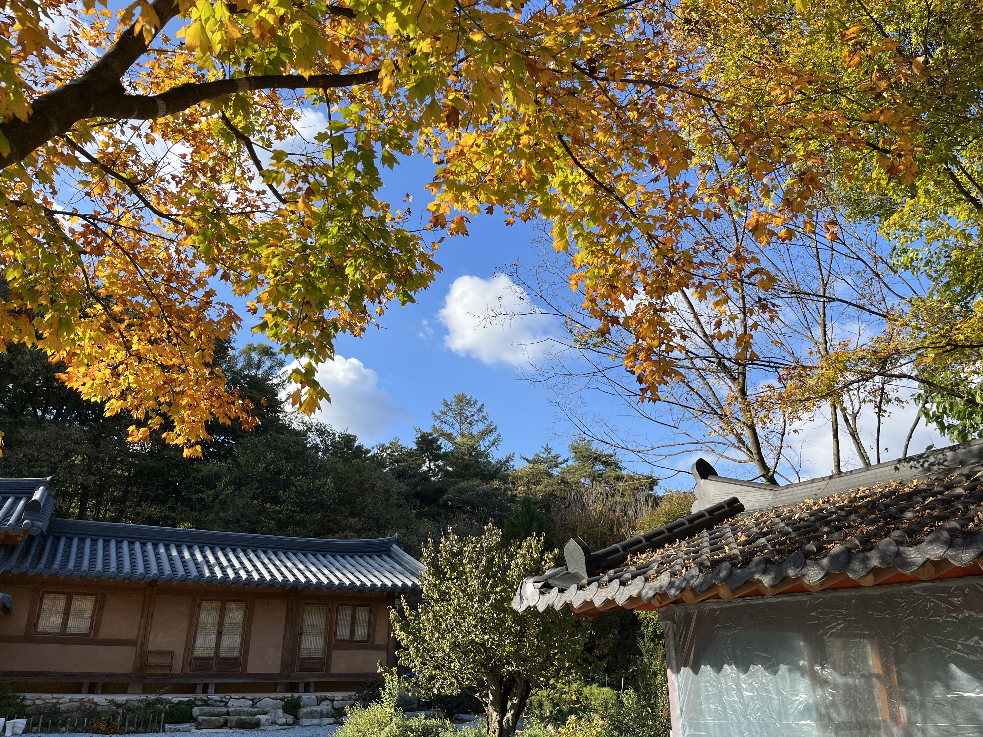 난여울
