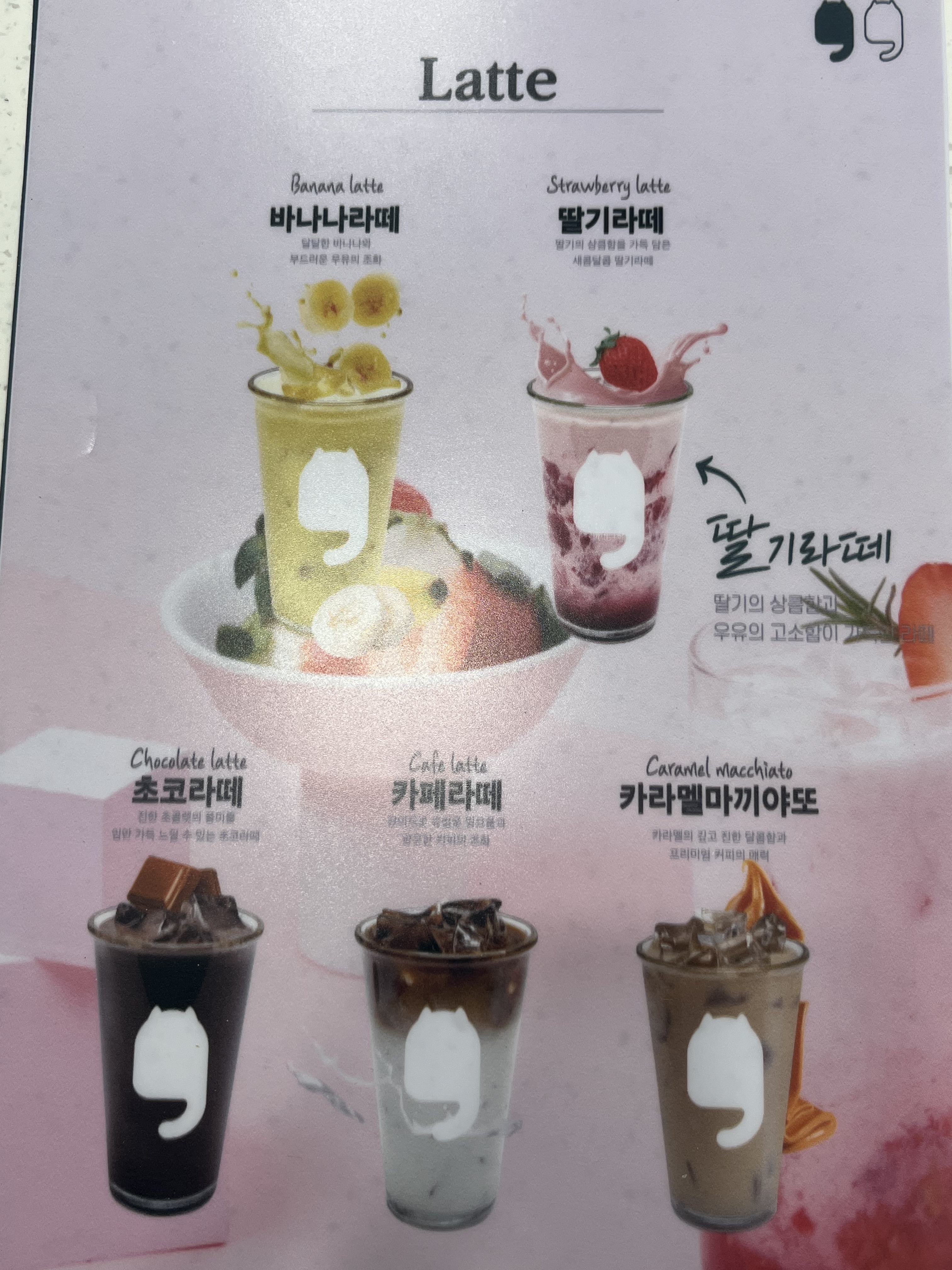 캣플헤븐 부산명지점