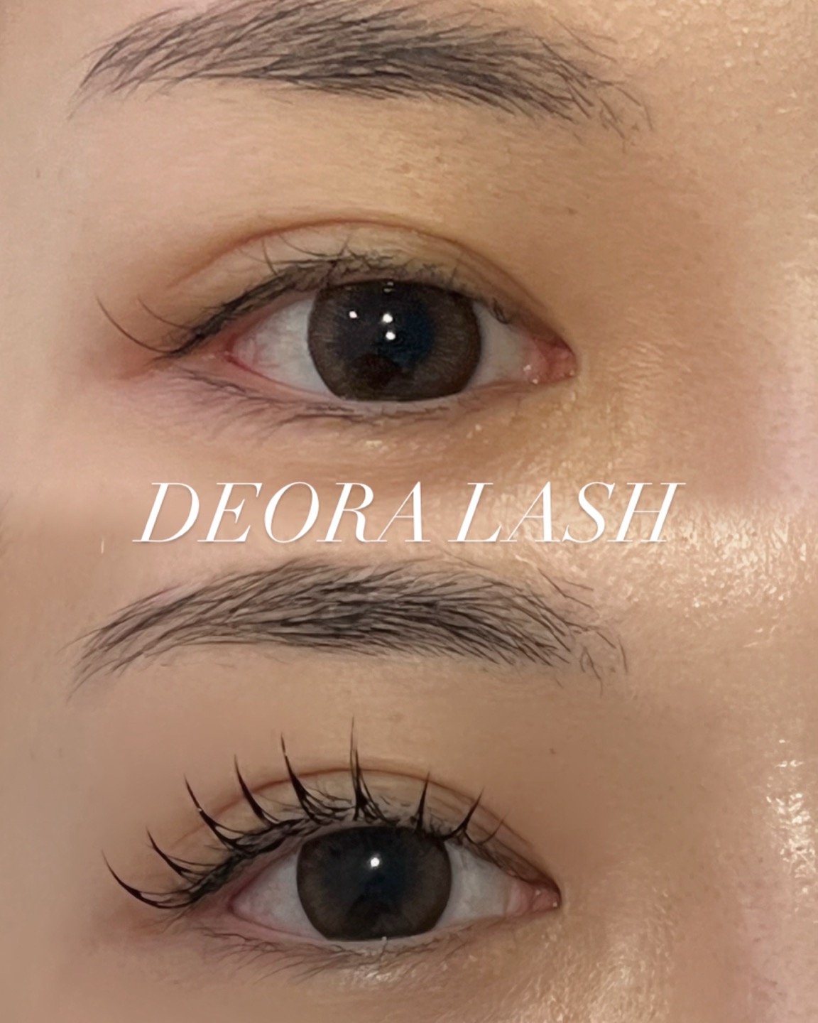 디오라래쉬 대표 이미지