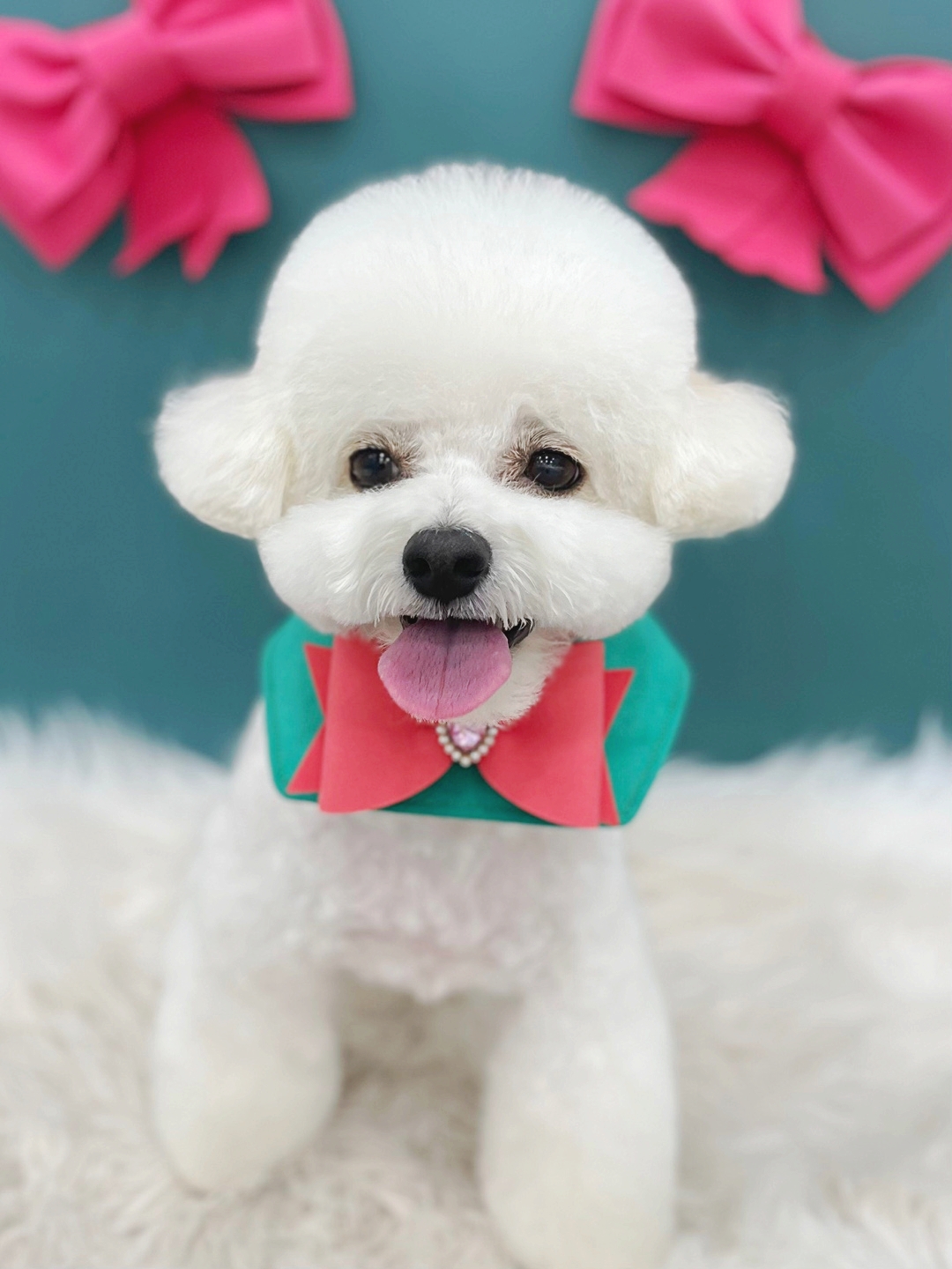 슈멍드아 대표 이미지