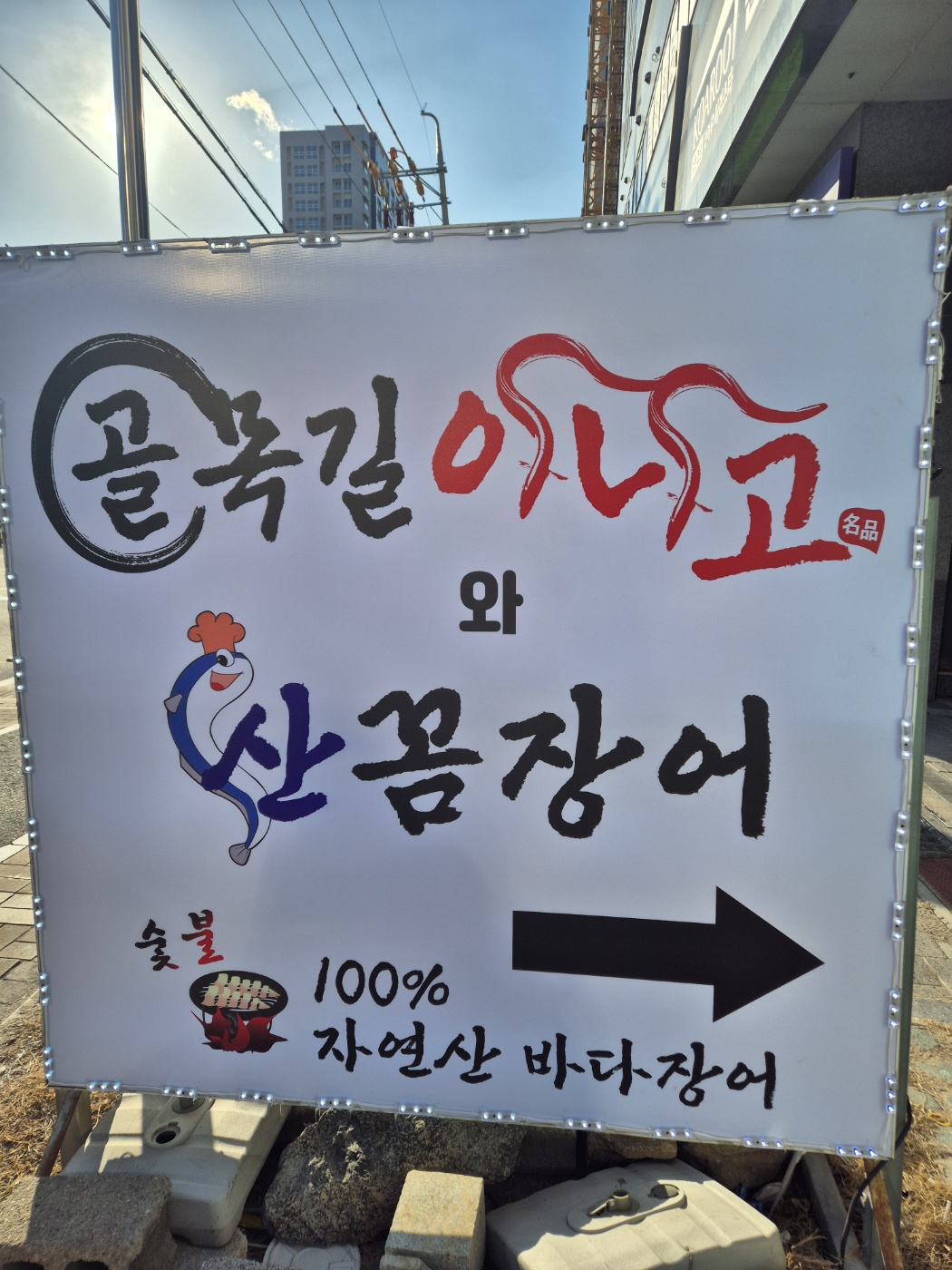 골목길아나고와 산꼼장어