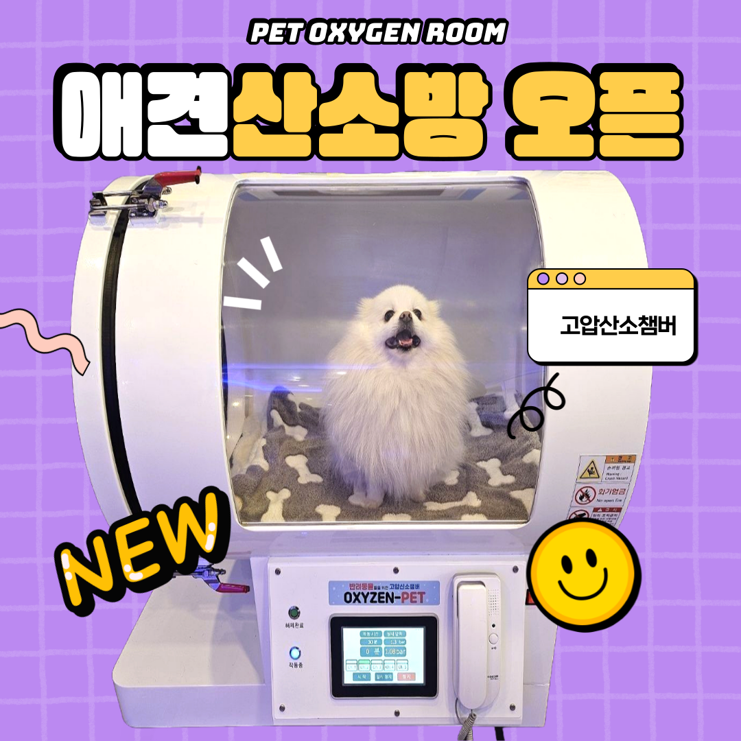 니멍내멍 대표 이미지