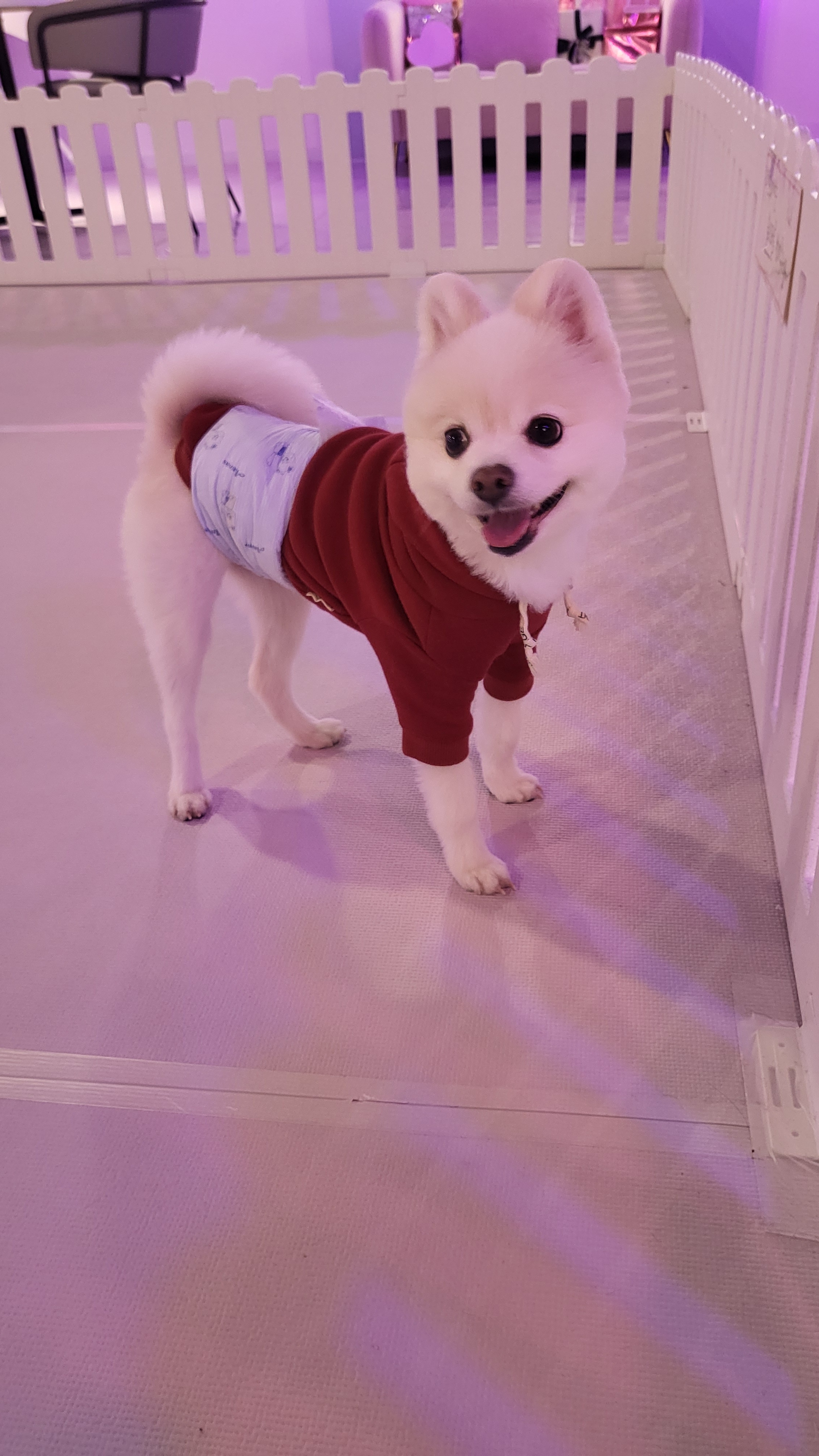 워터독 부천역점 대표 이미지