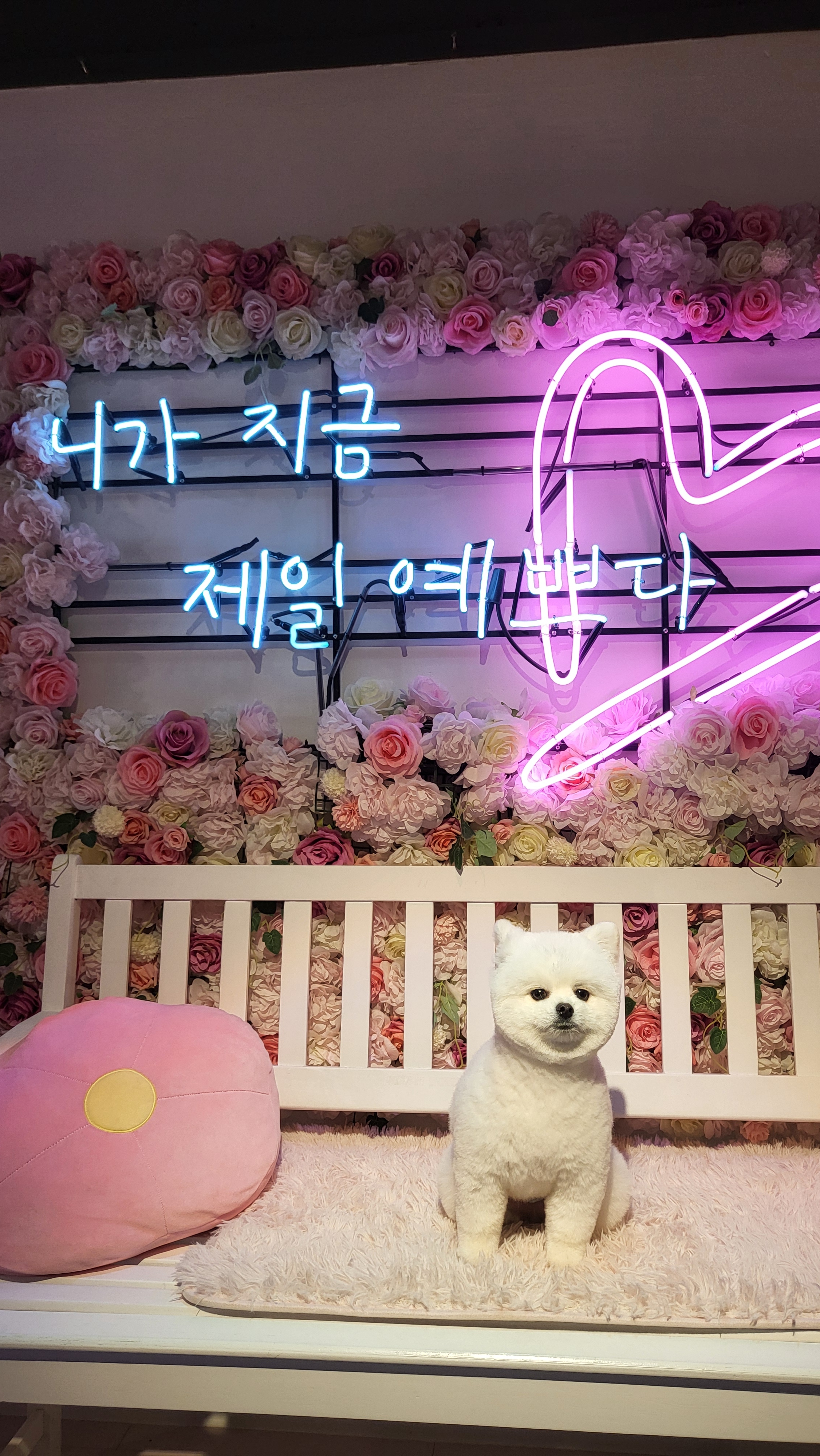 워터독 부천역점 대표 이미지