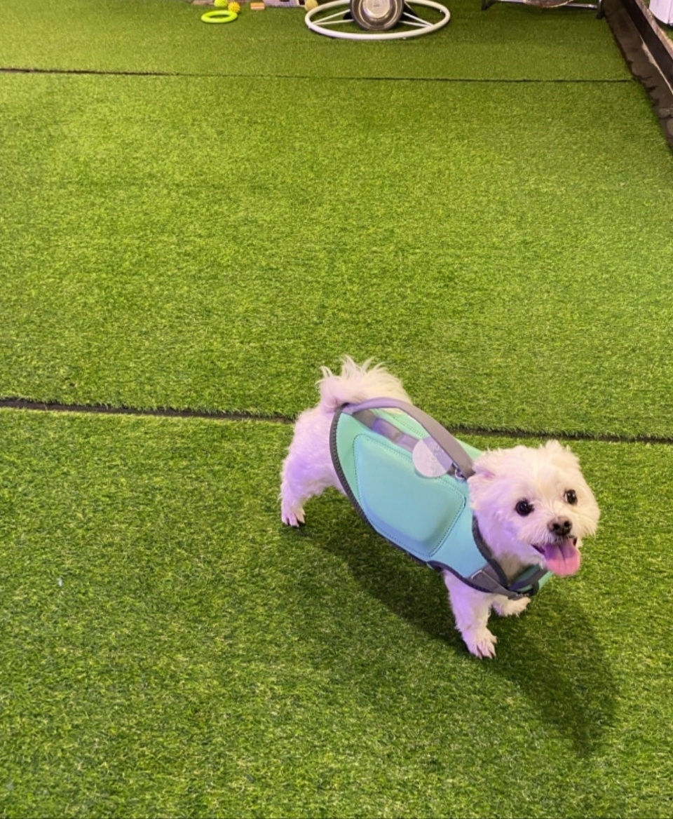 워터독 부천역점 대표 이미지