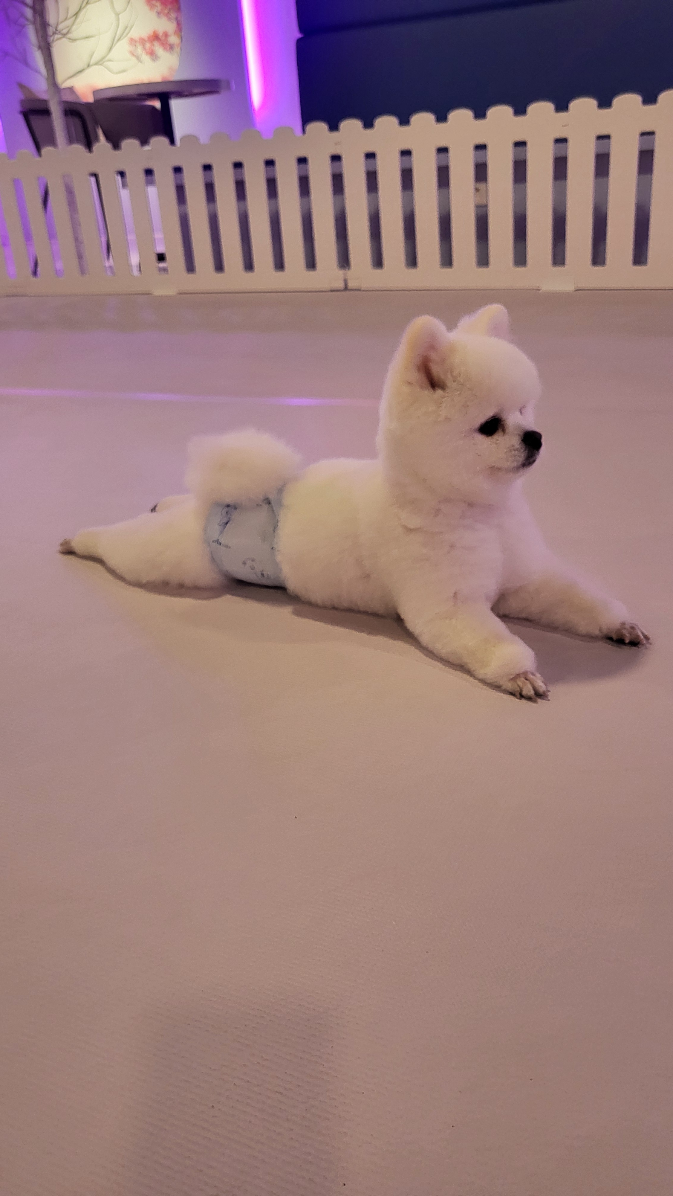 워터독 부천역점 대표 이미지