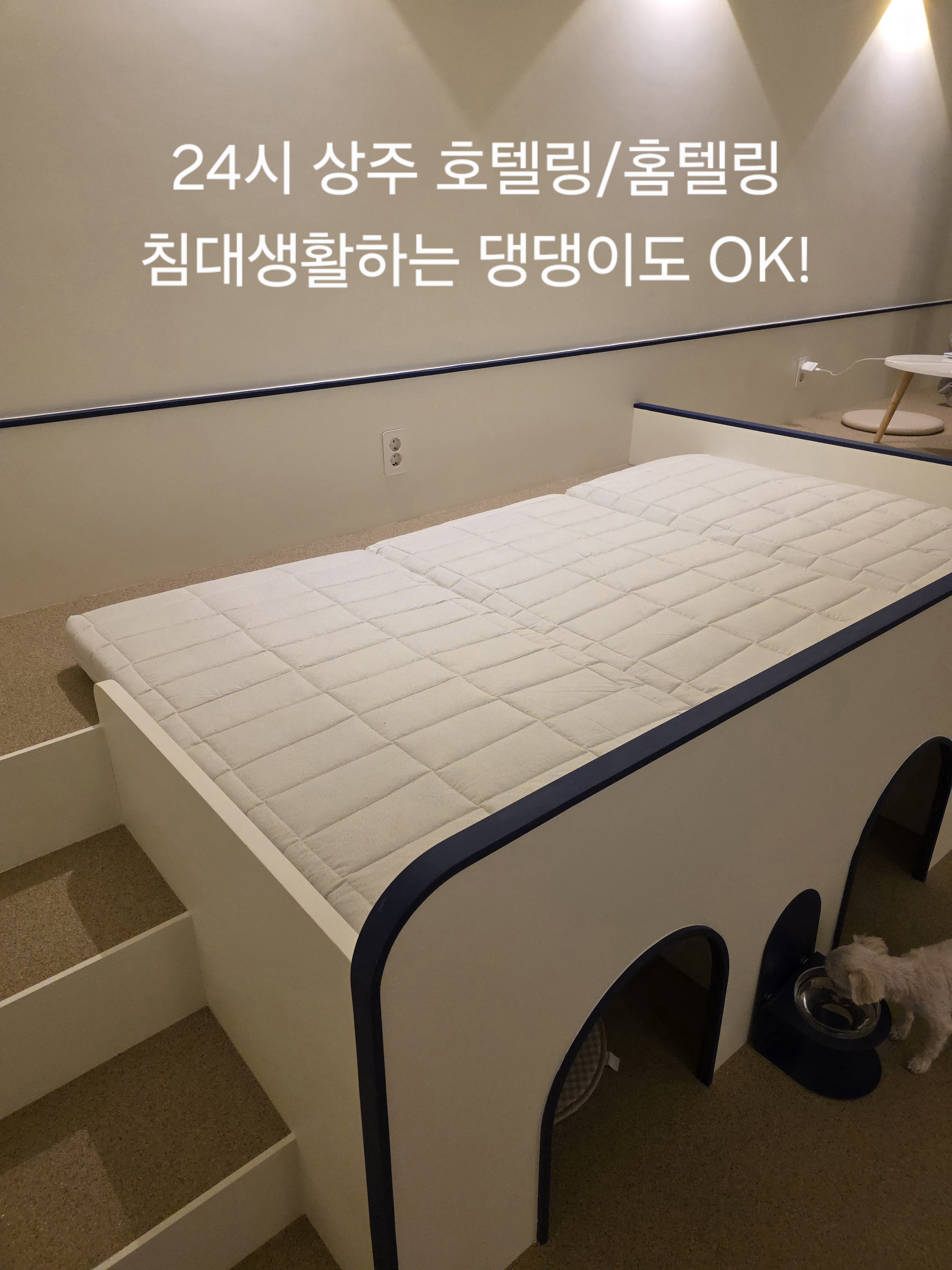 아지트댕댕 대표 이미지