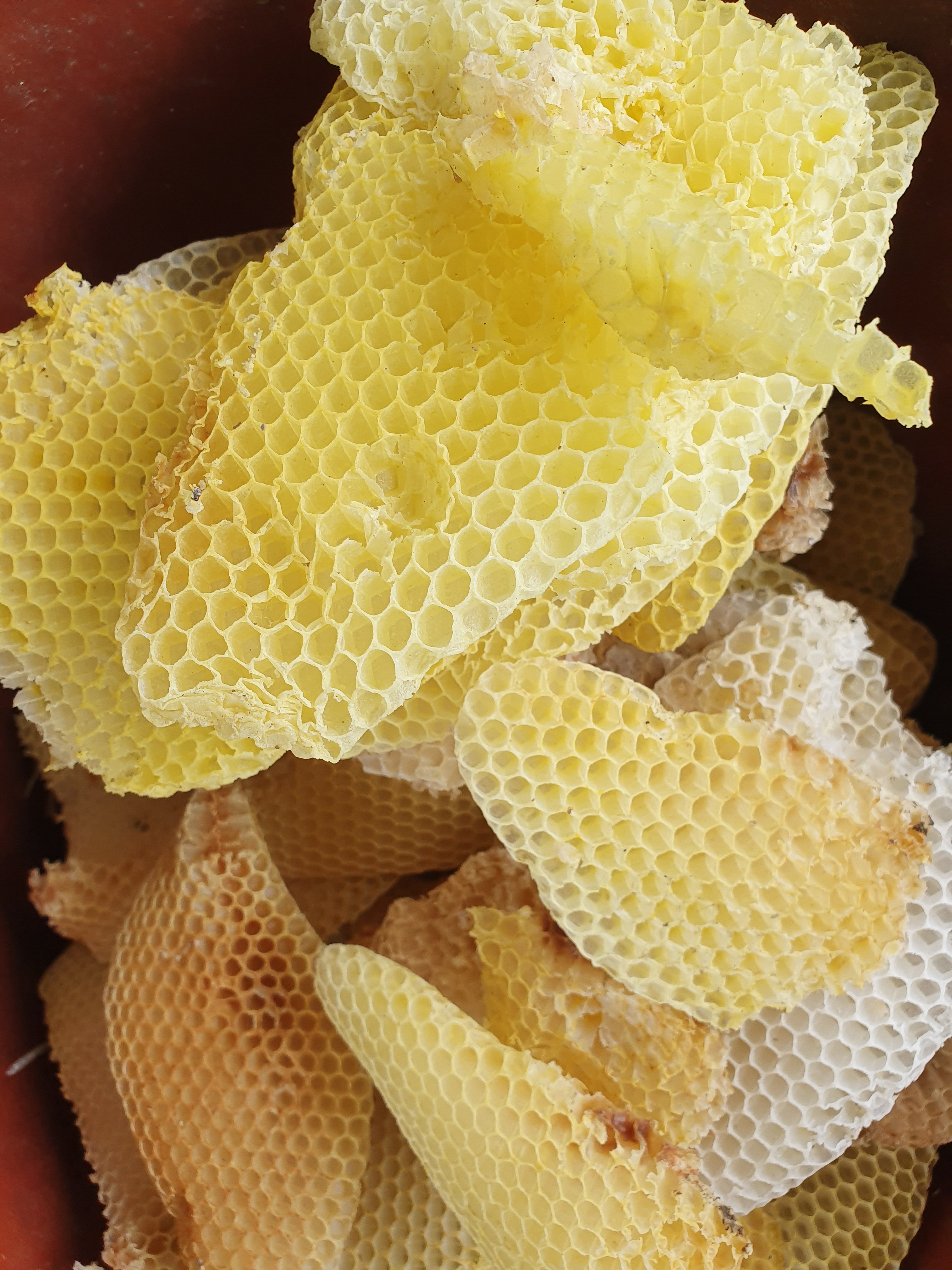 가마실꿀벌체험농장