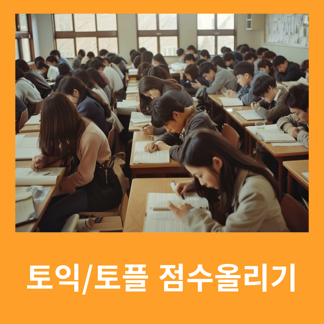 올터 화상영어 회화수업 대표 이미지