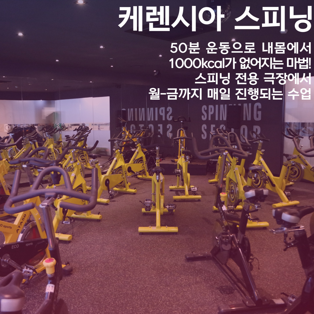 케렌시아피트니스 대표 이미지