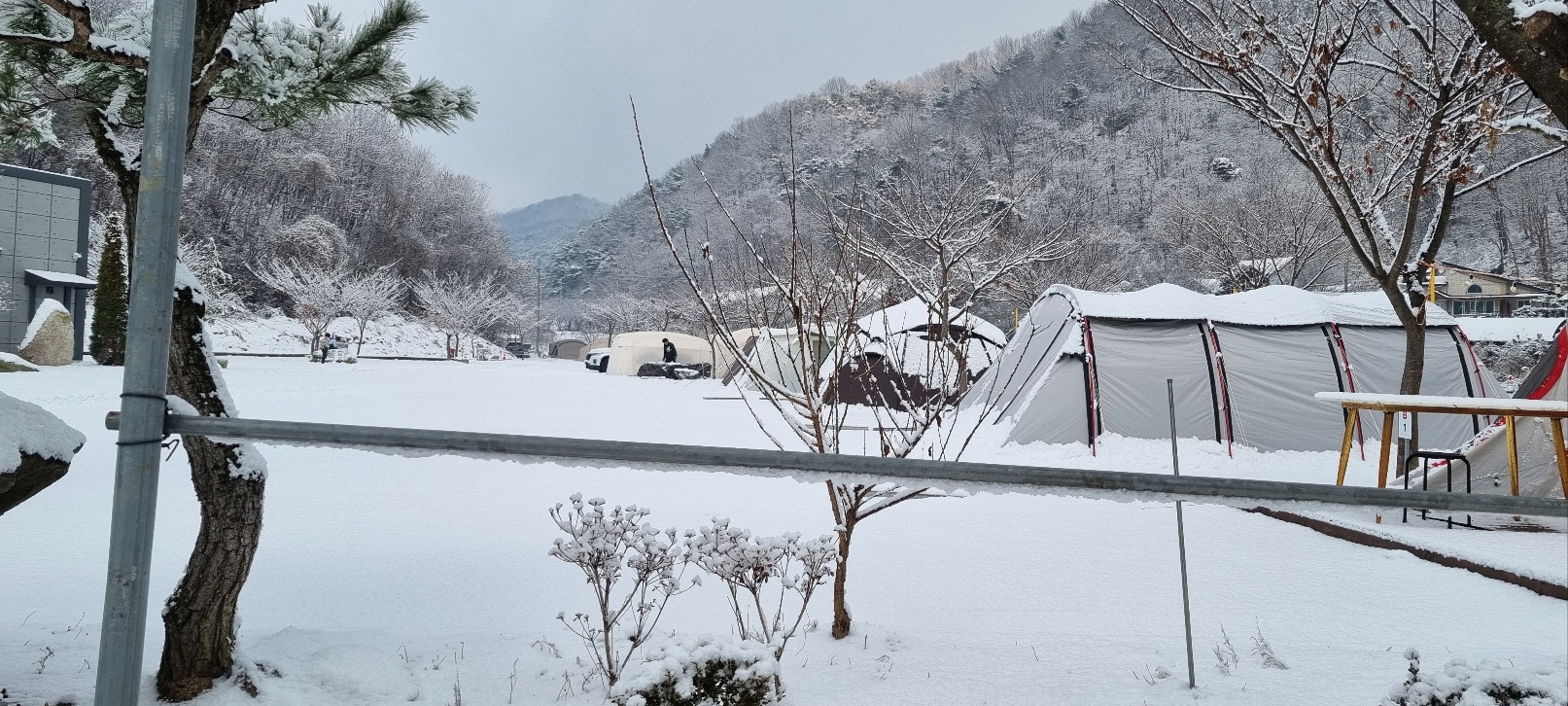 캠핑장 사진