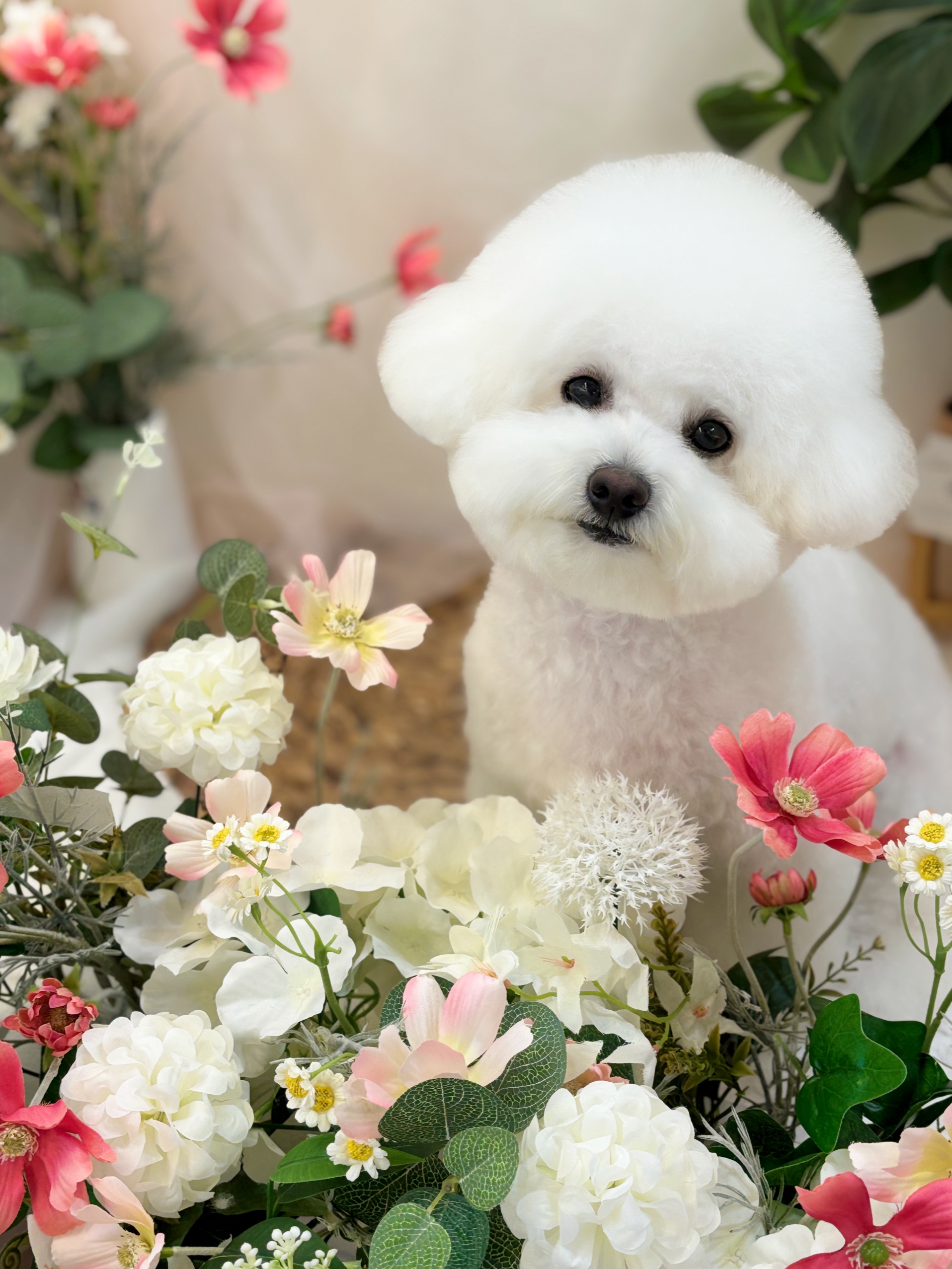 댕댕사우나