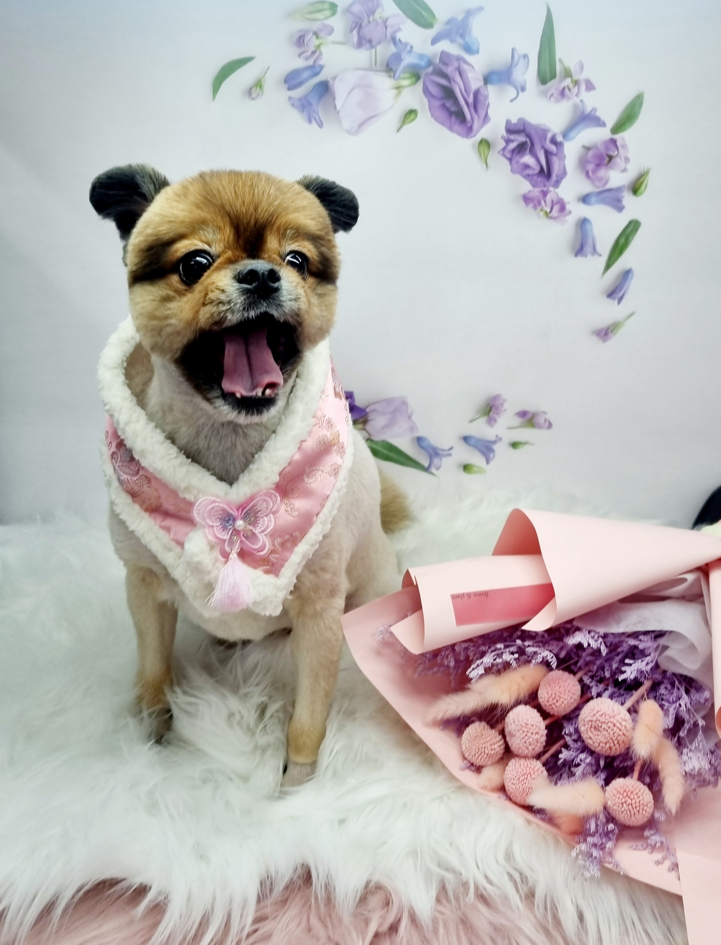 귀엽개귀엽냥 대표 이미지