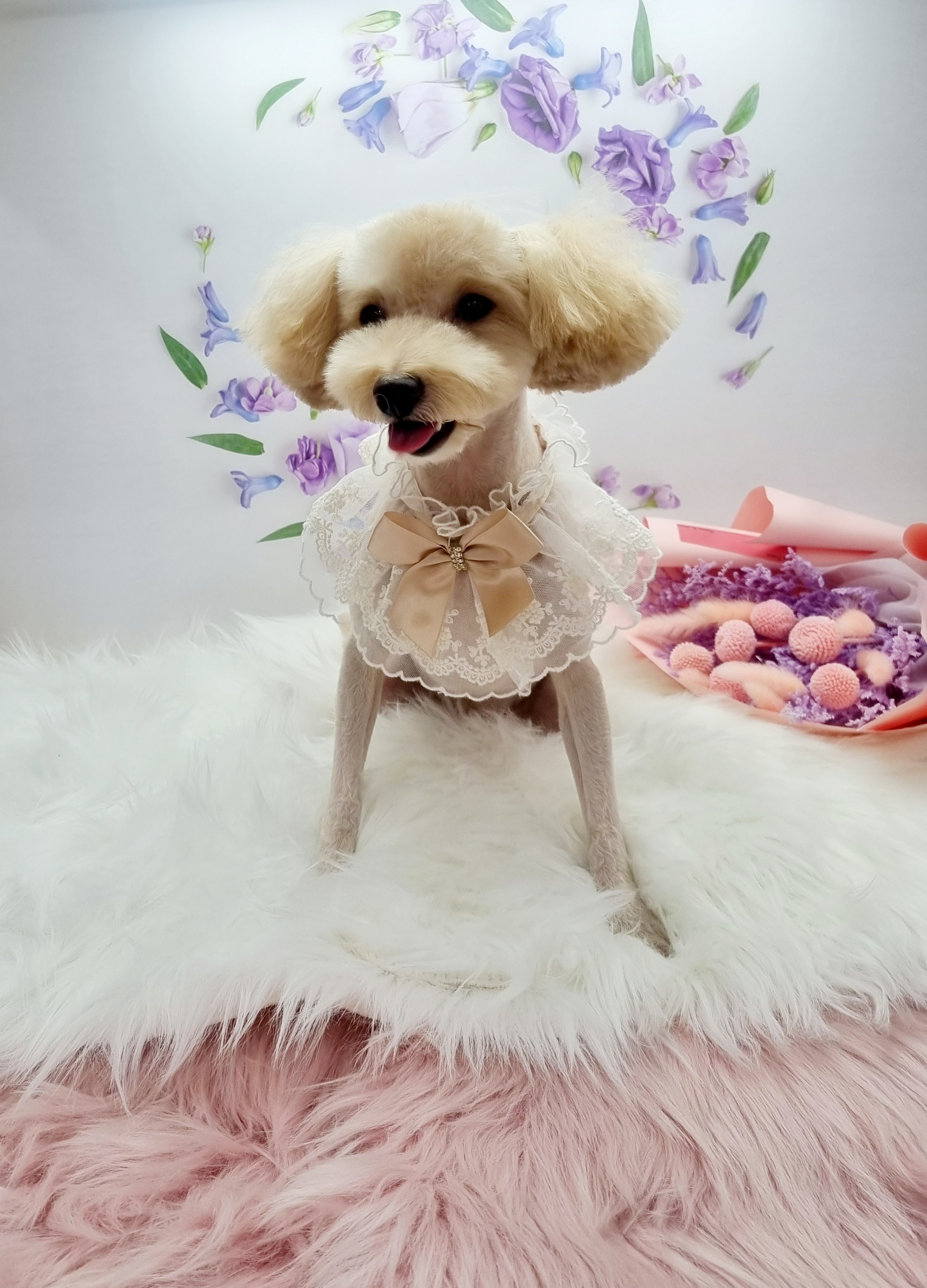 귀엽개귀엽냥 대표 이미지