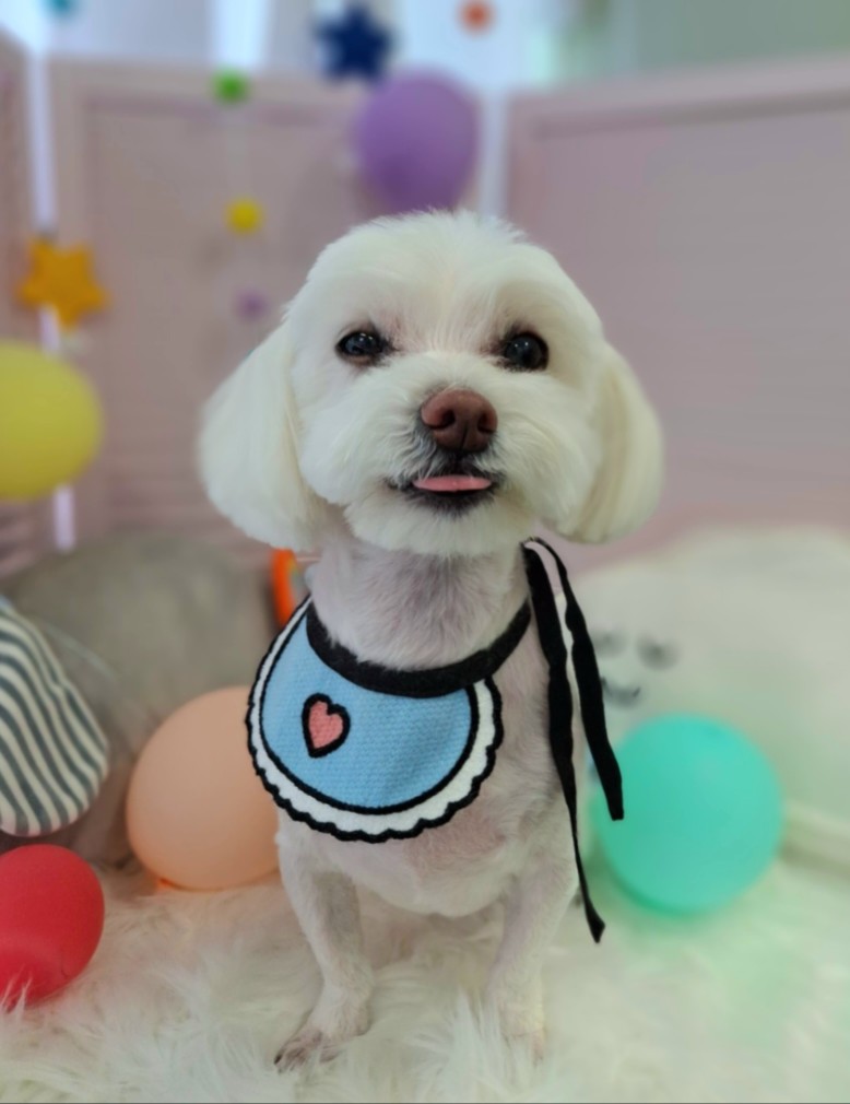 개성 대표 이미지