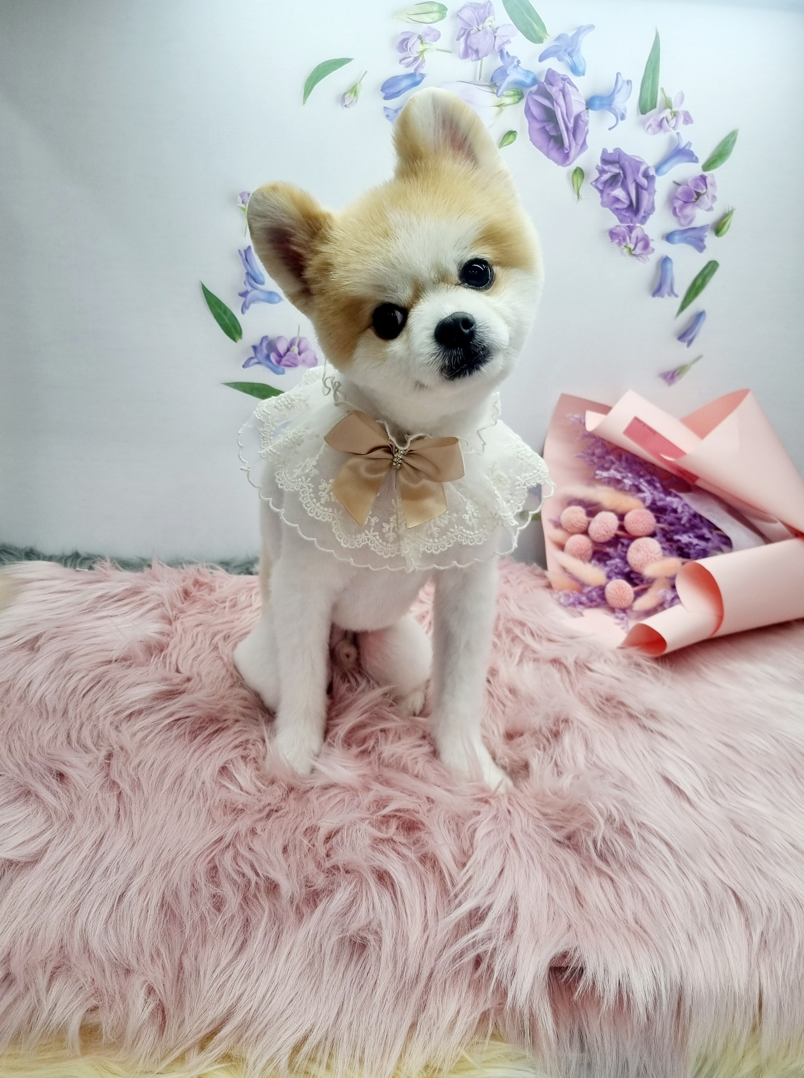 귀엽개귀엽냥 대표 이미지